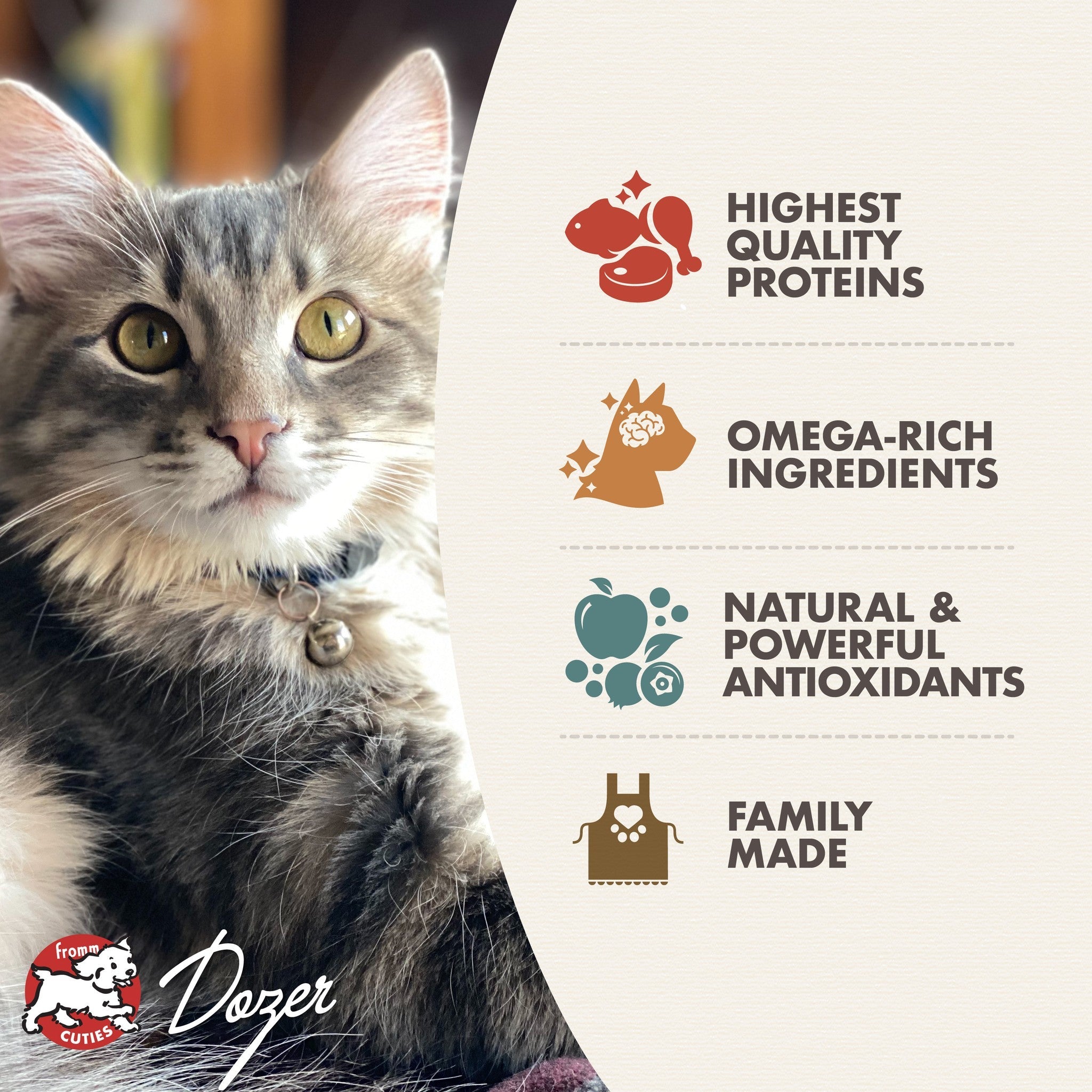 Fromm Gold Kitten benefits: highest quality proteins, omega-rich ingredients, natural and powerful antioxidants, family made