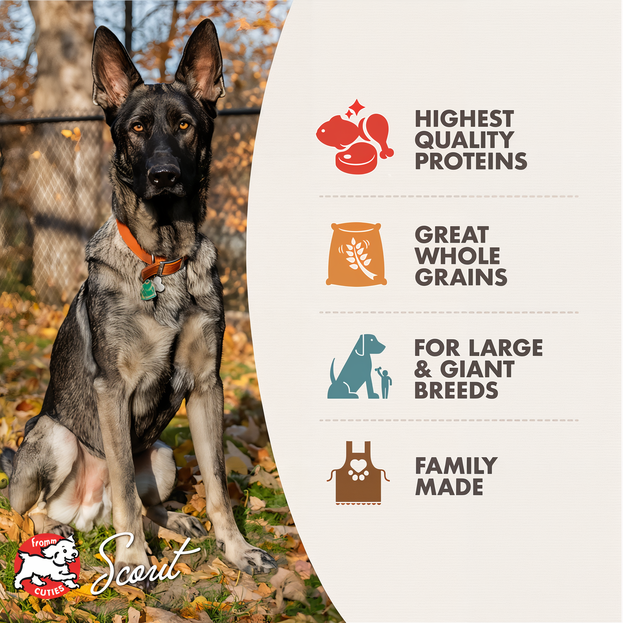 Fromm Gold Large Breed Adult benefits: high quality proteins, whole grains, support for big dogs