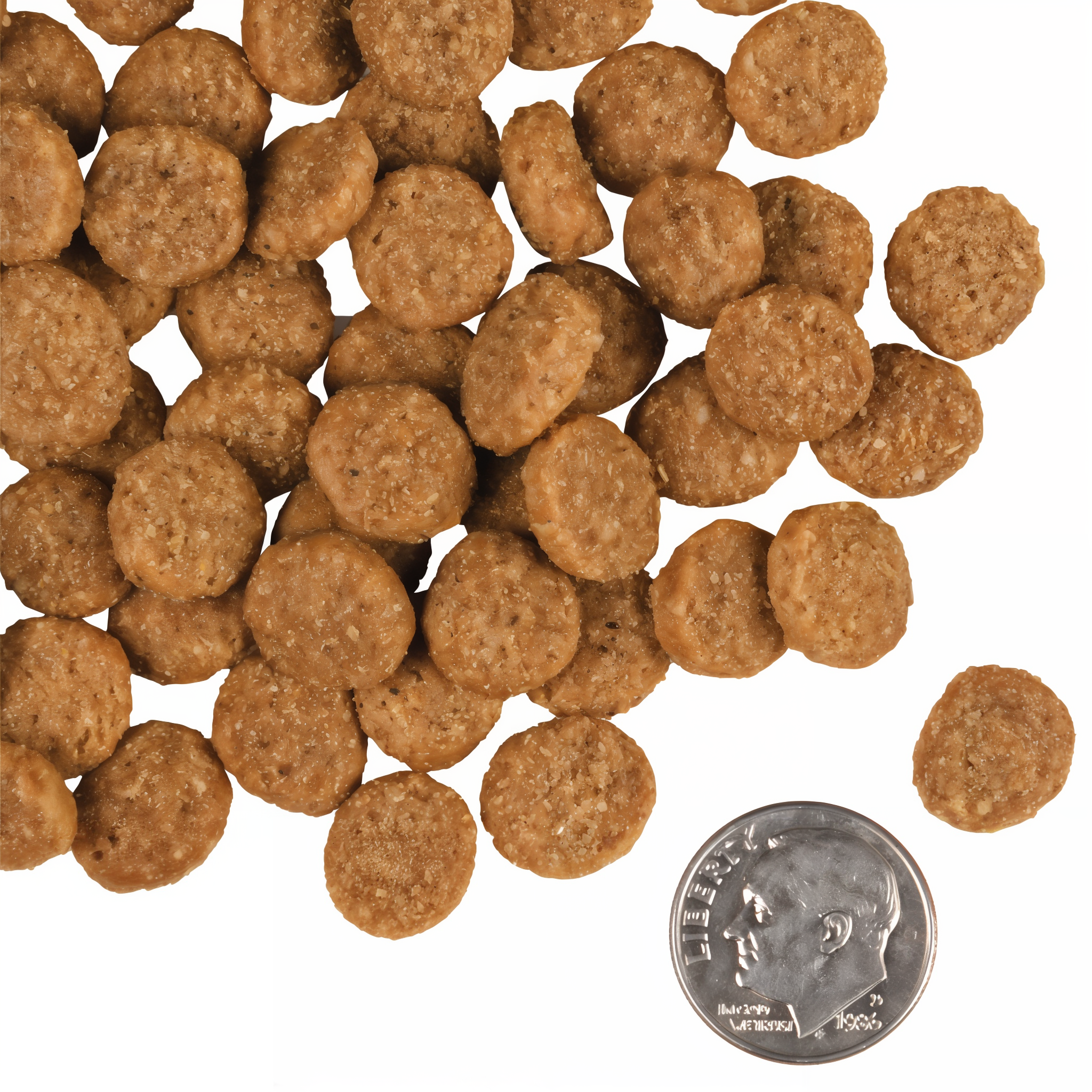 A small pile of Fromm Gold Large Breed Adult kibble next to a dime for scale