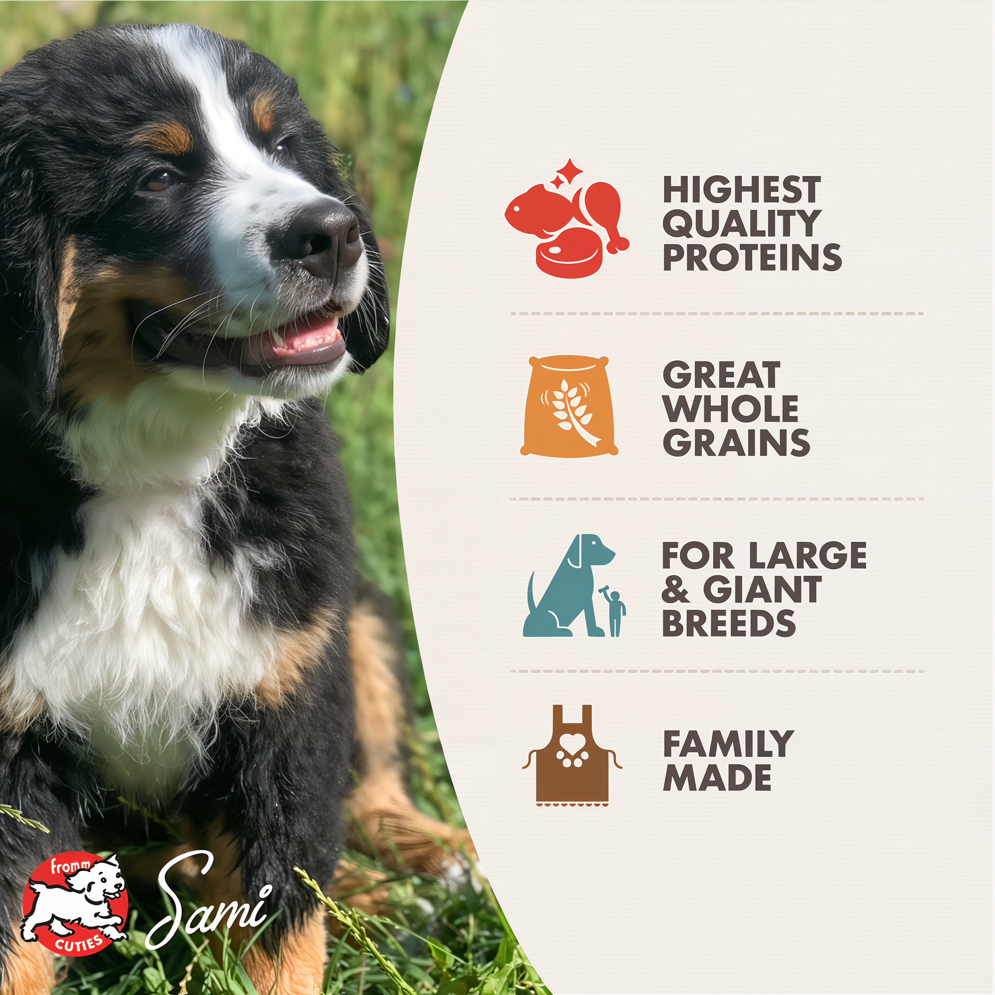 Fromm Gold Large Breed Puppy benefits: high quality proteins, whole grains, DHA and EPA, steady growth support
