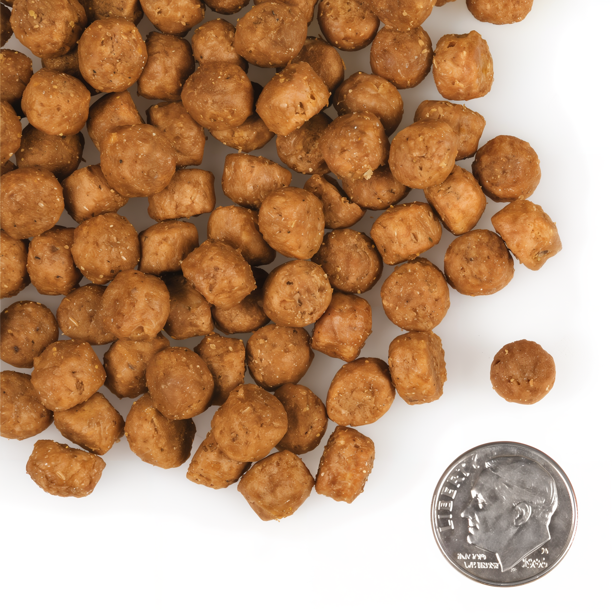 A small pile of Fromm Gold Large Breed Puppy kibble next to a dime for scale