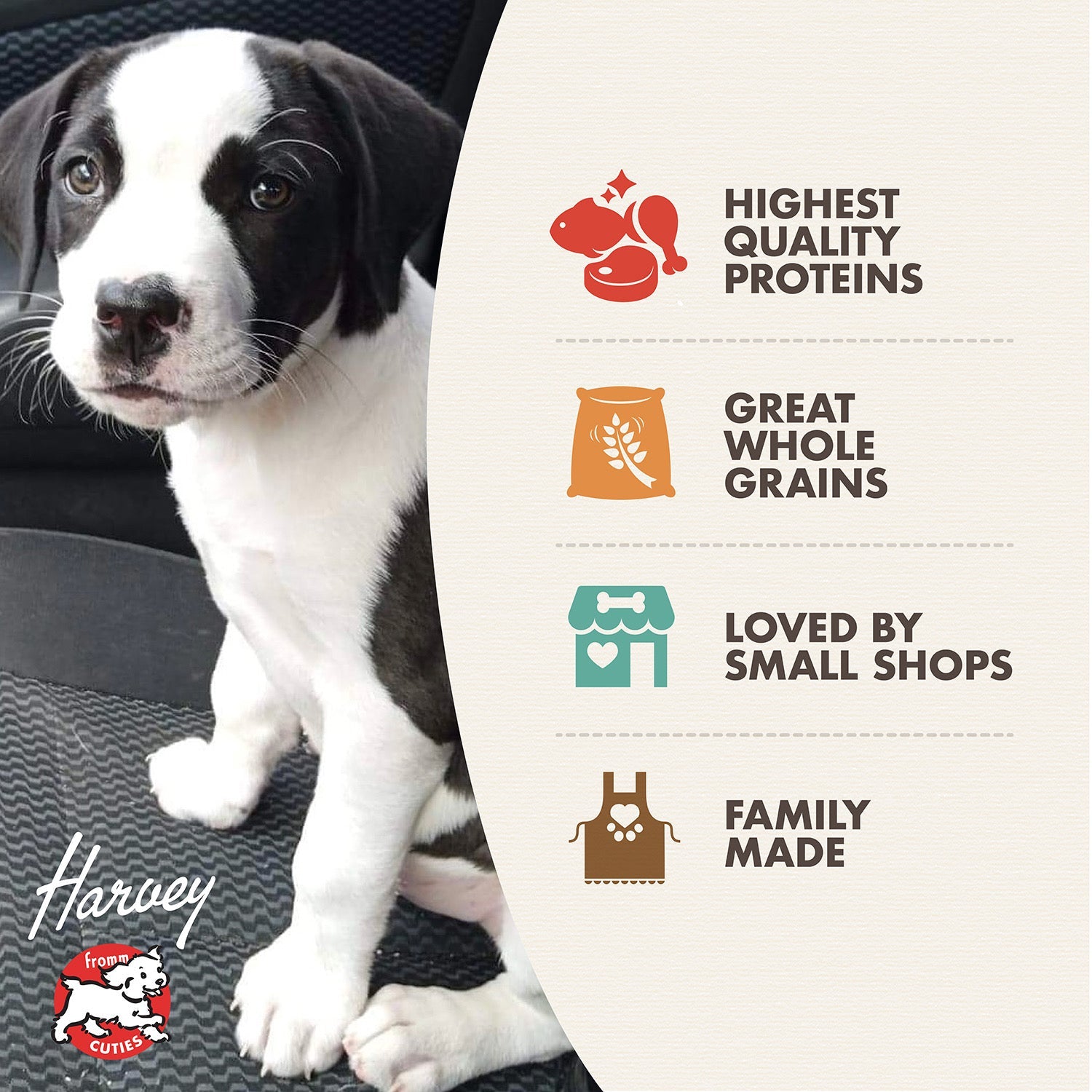 Fromm Cuties puppy Harvey with Gold Puppy benefits: highest quality proteins, great whole grains, loved by small shops, family made