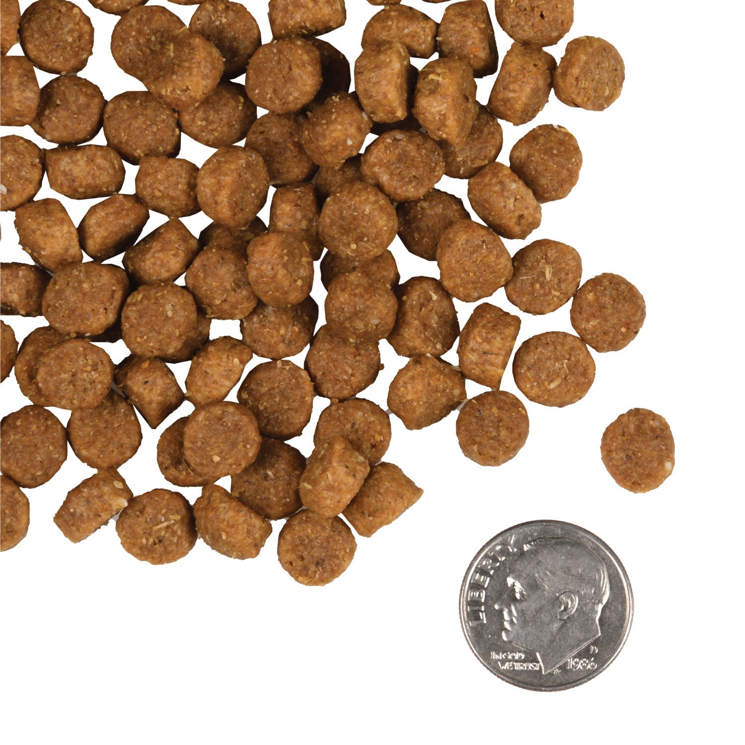 A small pile of Fromm Gold Puppy kibble next to a dime for scale