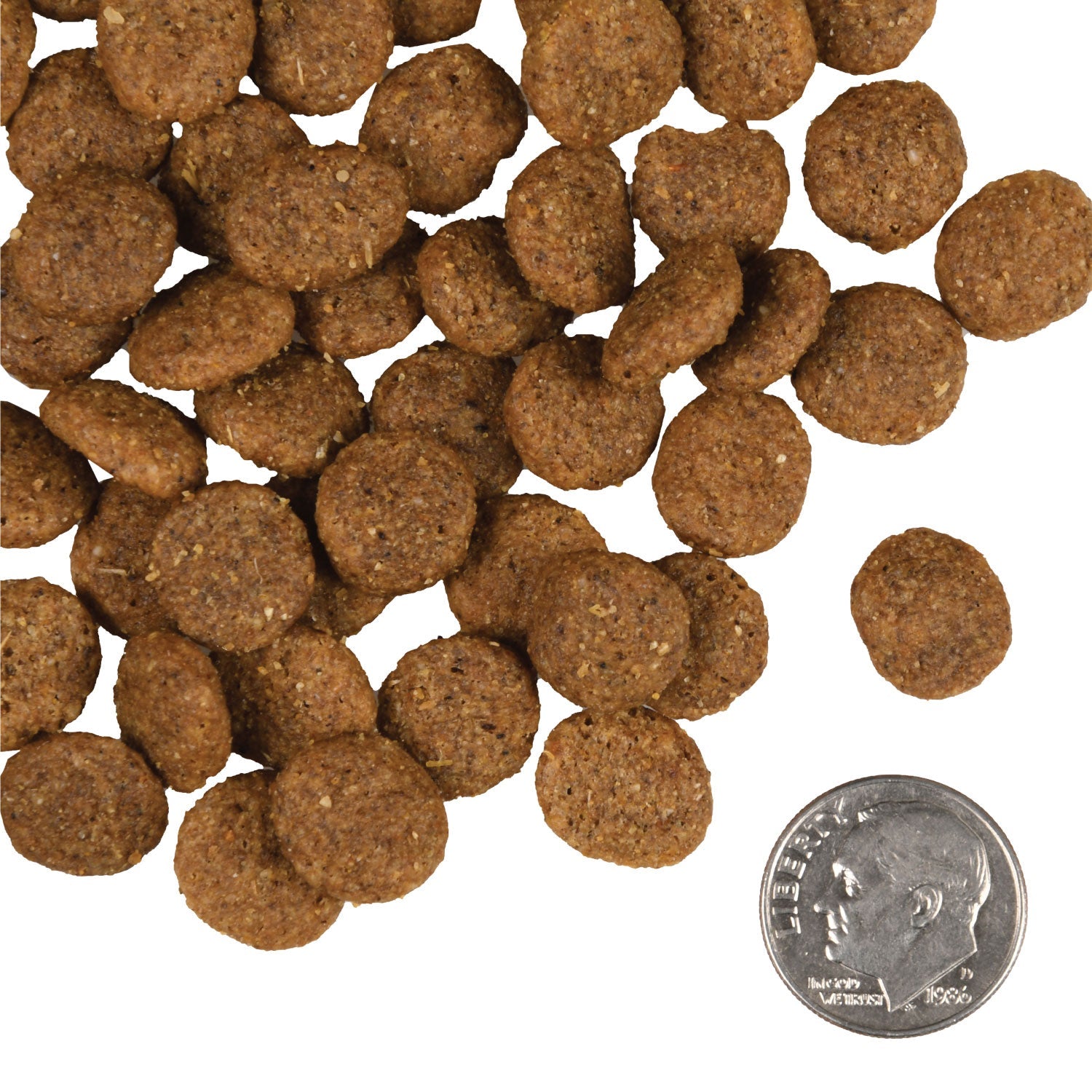 A small pile of Fromm Gold Reduced Activity & Senior kibble next to a dime for scale