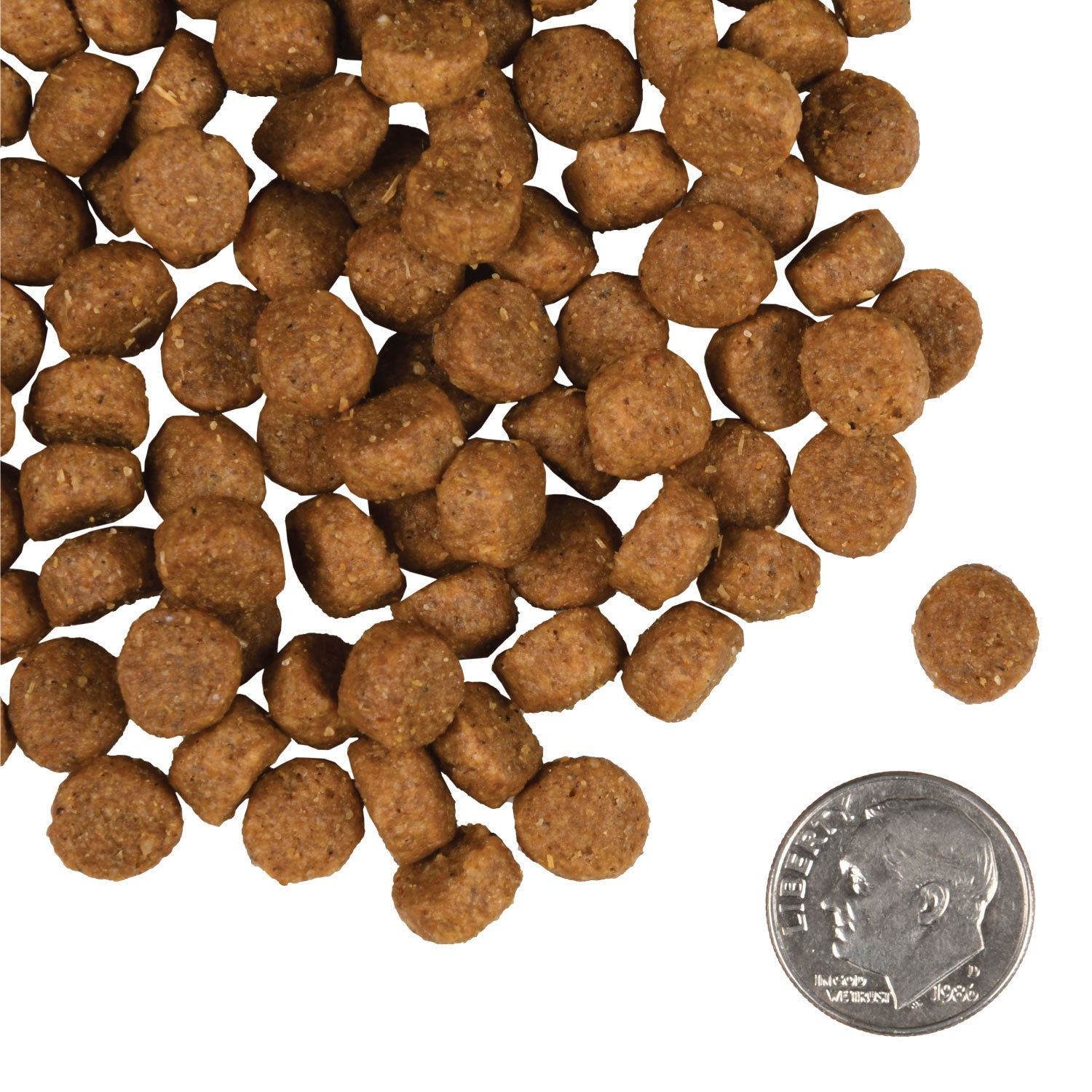 A small pile of Fromm Gold Small Breed Adult kibble next to a dime for scale