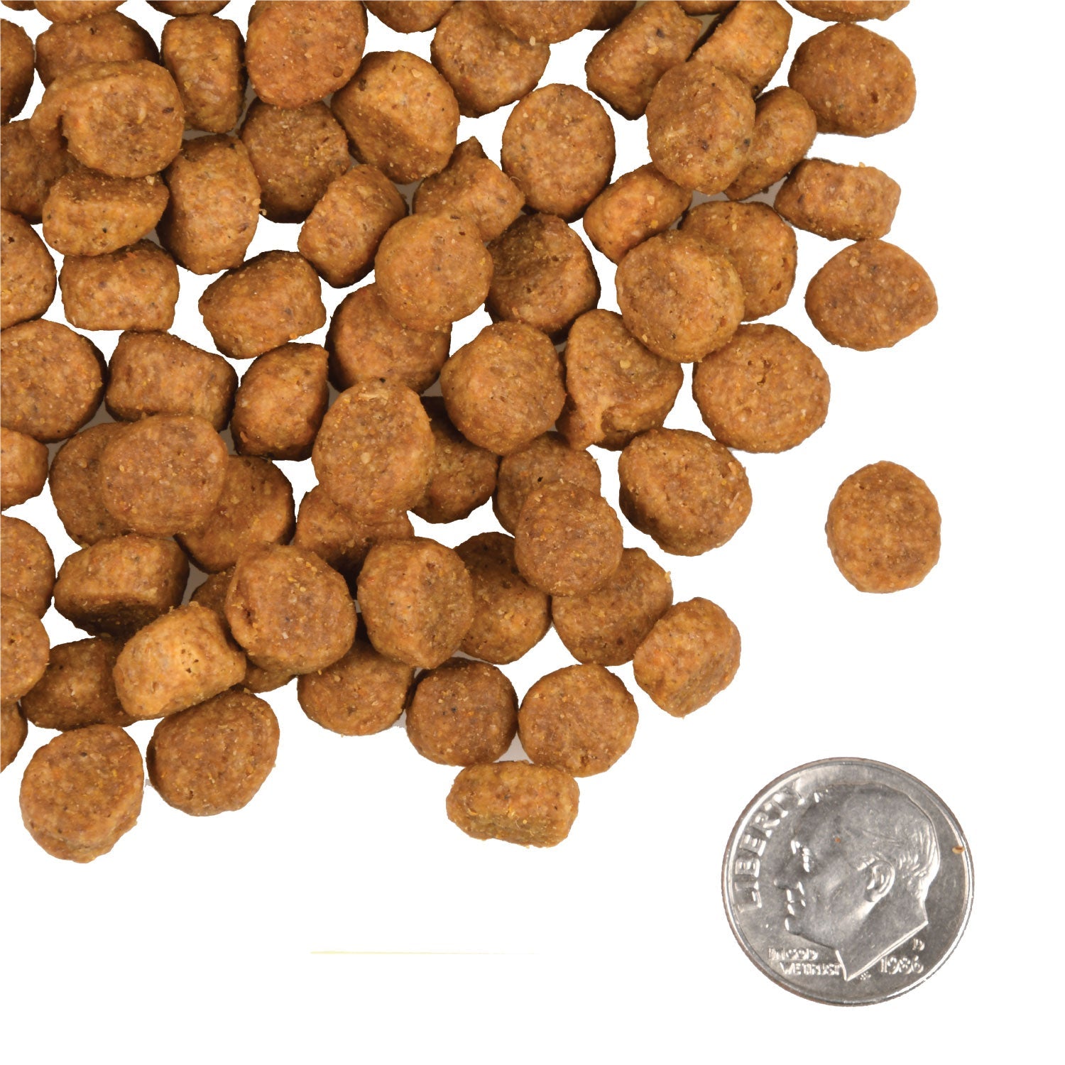 A small pile of Fromm Heartland Gold Large Breed Puppy kibble next to a dime for scale
