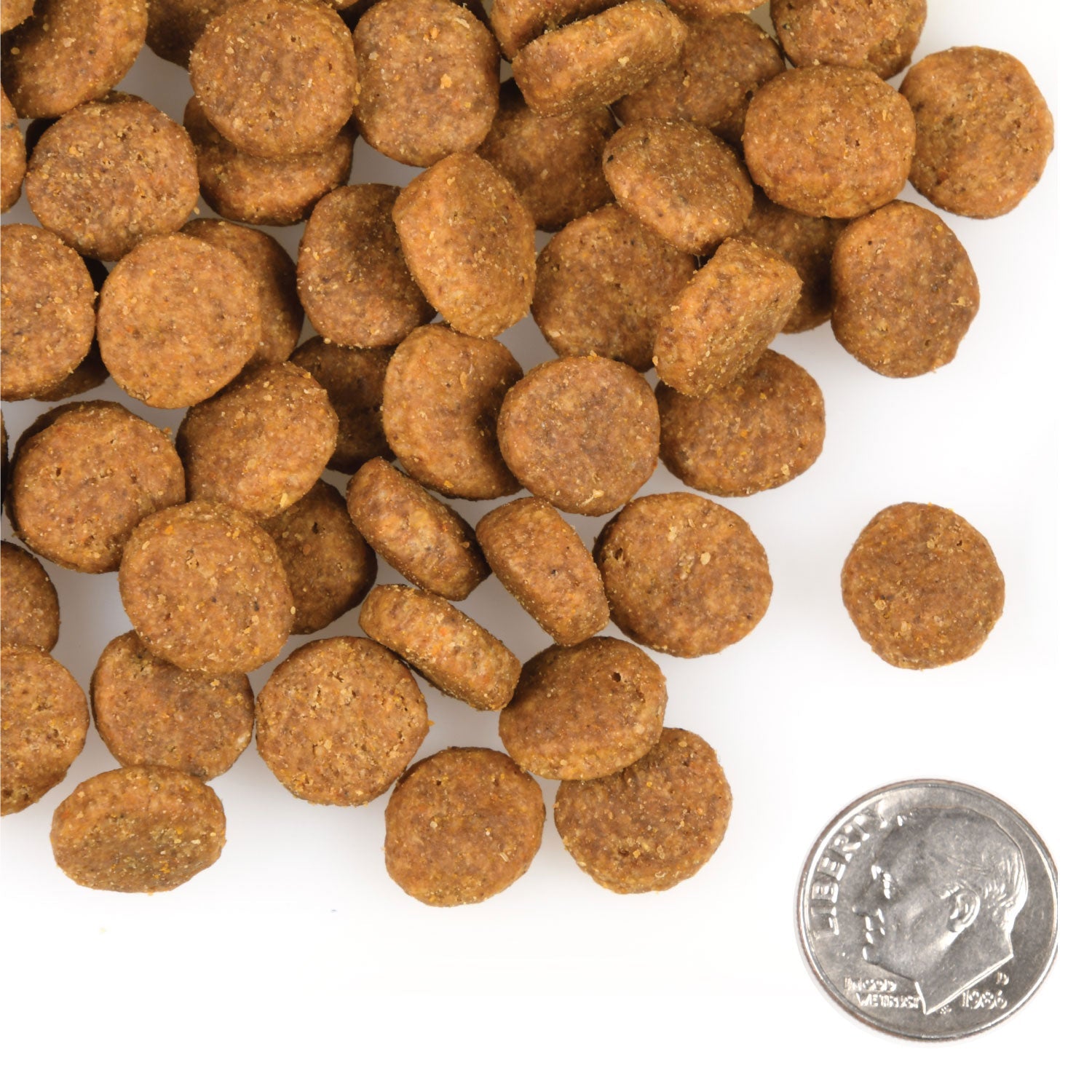 A small pile of Fromm Heartland Gold Large Breed Adult kibble next to a dime for scale