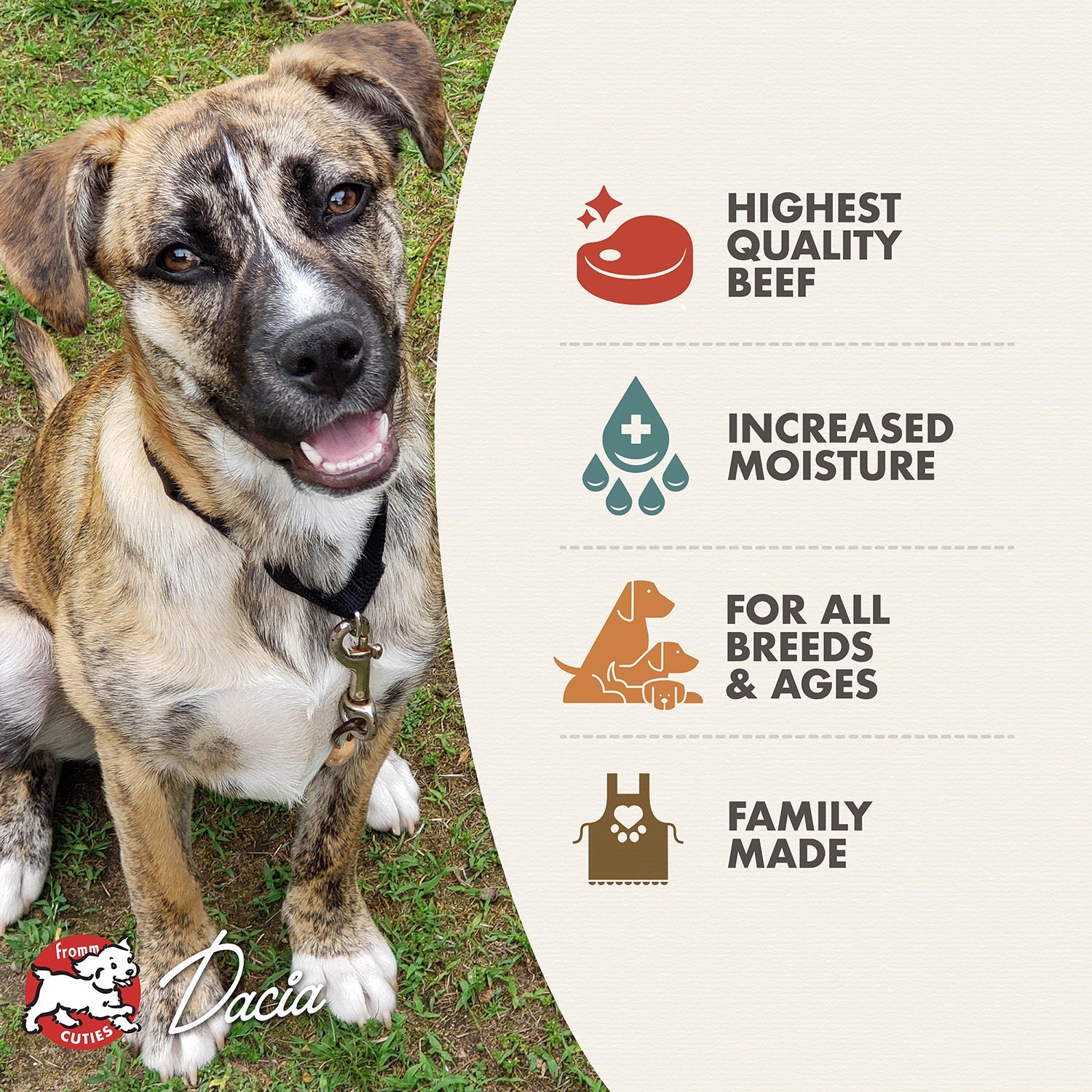Fromm Cuties dog Dacia with Fromm Pâté Beef & Sweet Potato benefits: highest quality beef, increased moisture, for all breeds and ages, family made