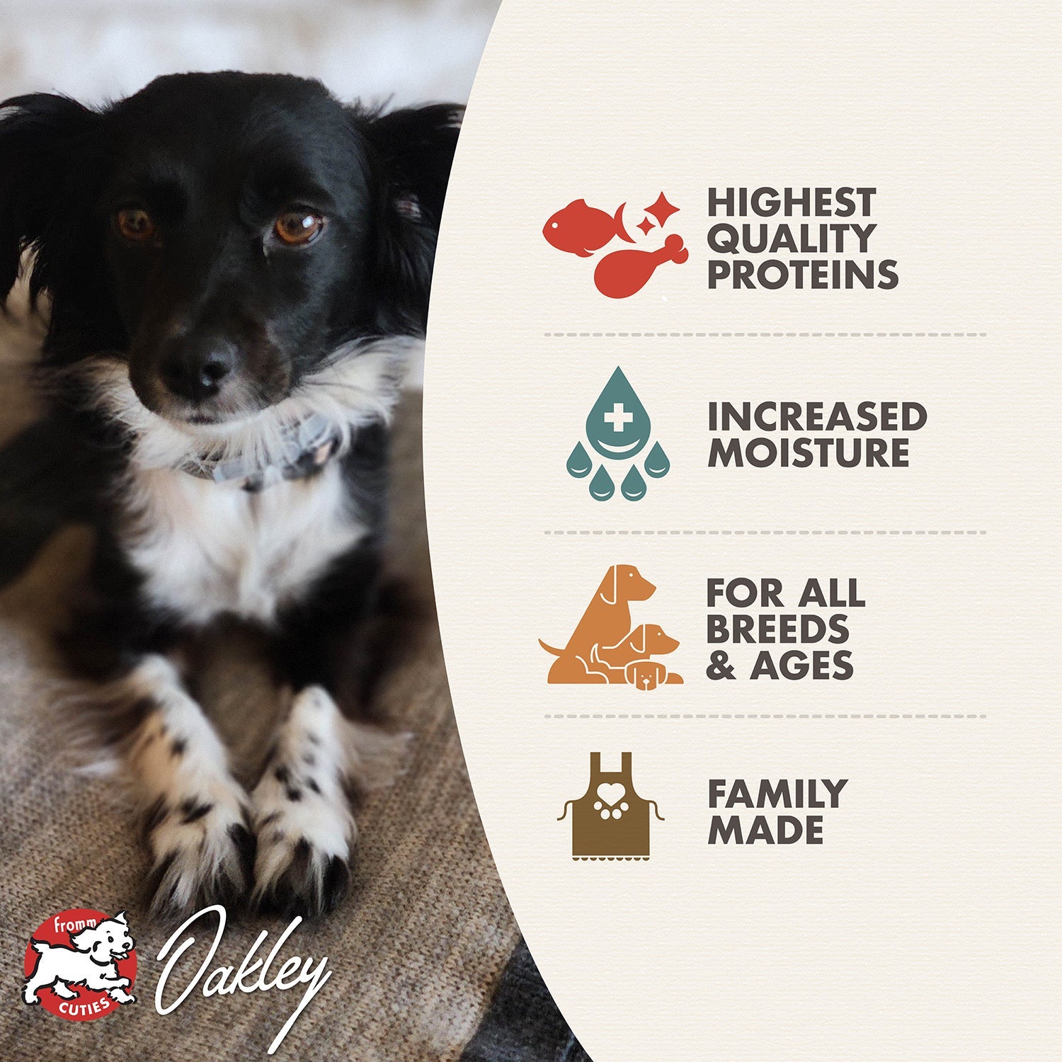 Fromm Cuties dog Oakley with Fromm Pâté benefits: highest quality proteins, increased moisture, for all breeds and ages, family made