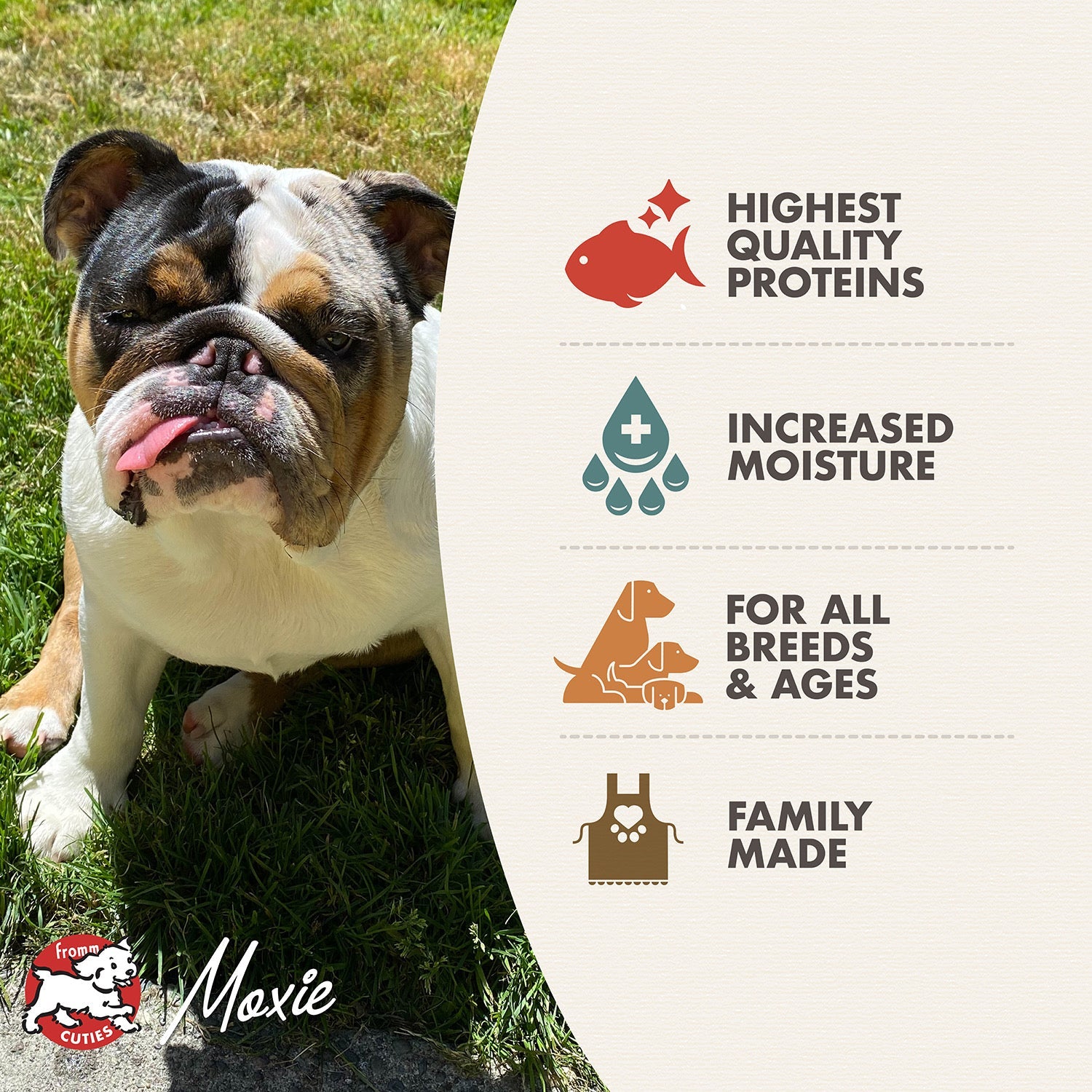 Fromm Cuties dog Moxie with Fromm Pâté benefits: highest quality proteins, increased moisture, for all breeds and ages, family made