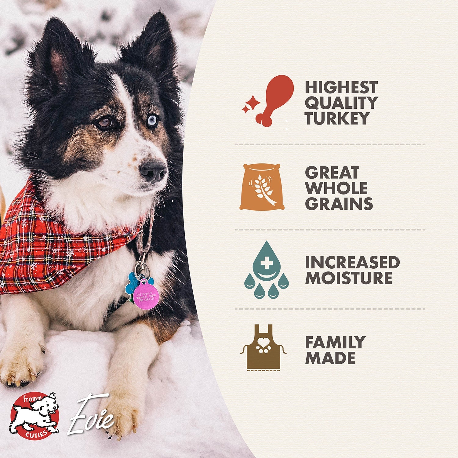 Fromm Cuties dog Evie with Turkey Pâté benefits: highest quality turkey, great whole grains, increased moisture, family made