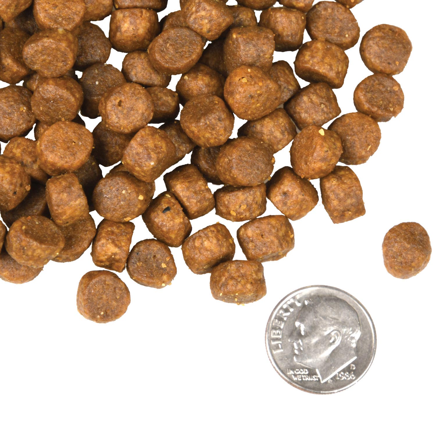 A small pile of Fromm Surf & Turf kibble next to a dime for scale