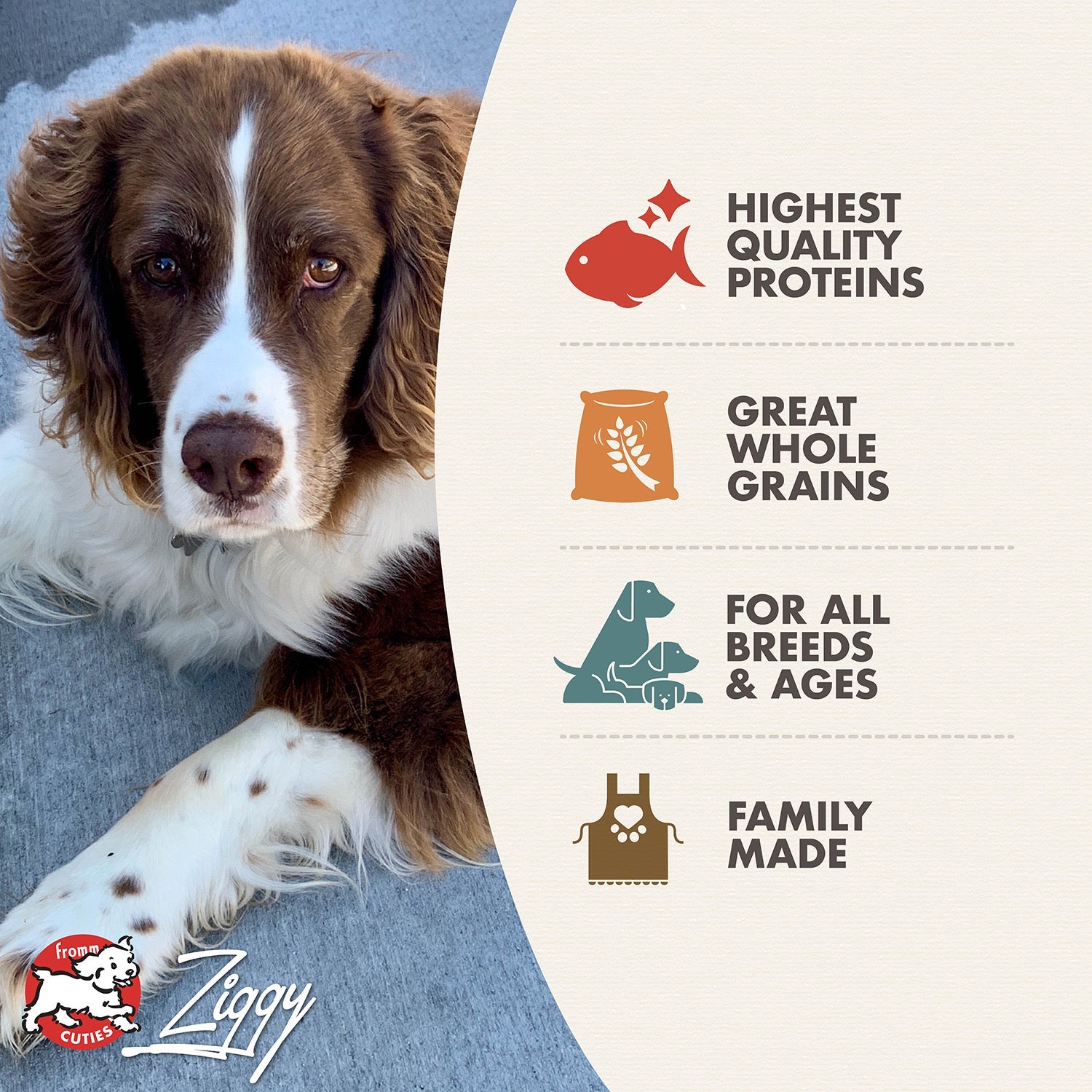 Fromm Cuties dog Ziggy with Trout and Whitefish benefits: quality proteins, whole grains, all breeds and ages, family made