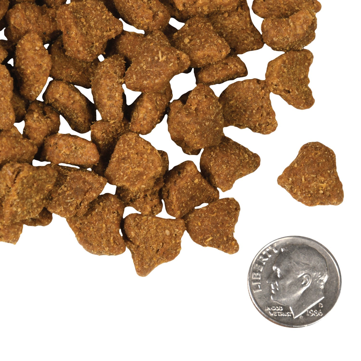 A small pile of Fromm Zealambder kibble next to a dime for scale