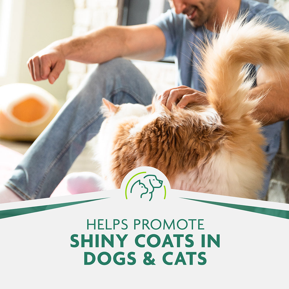 FURminator Bathing Brush promotes a shiny coat