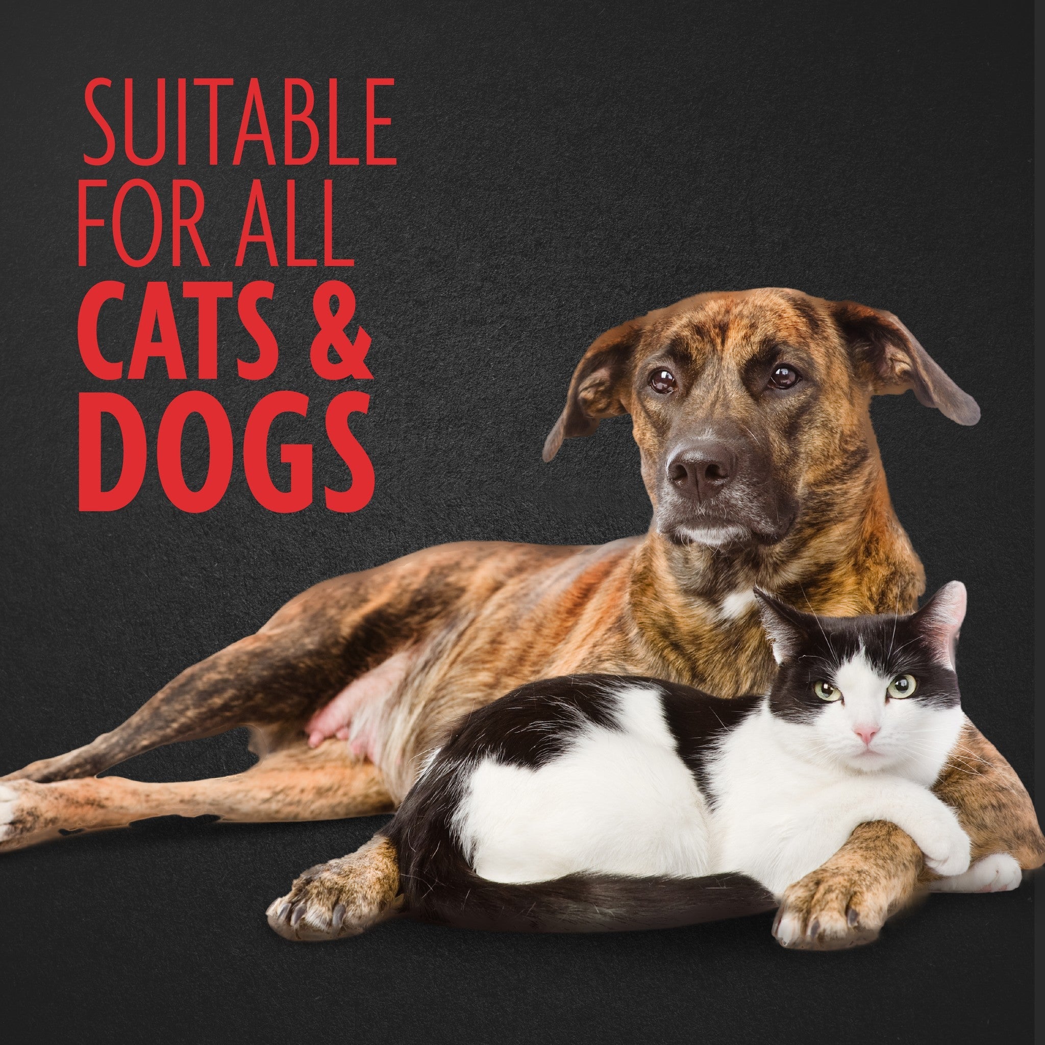FURminator Nail Grinder for cats and dogs