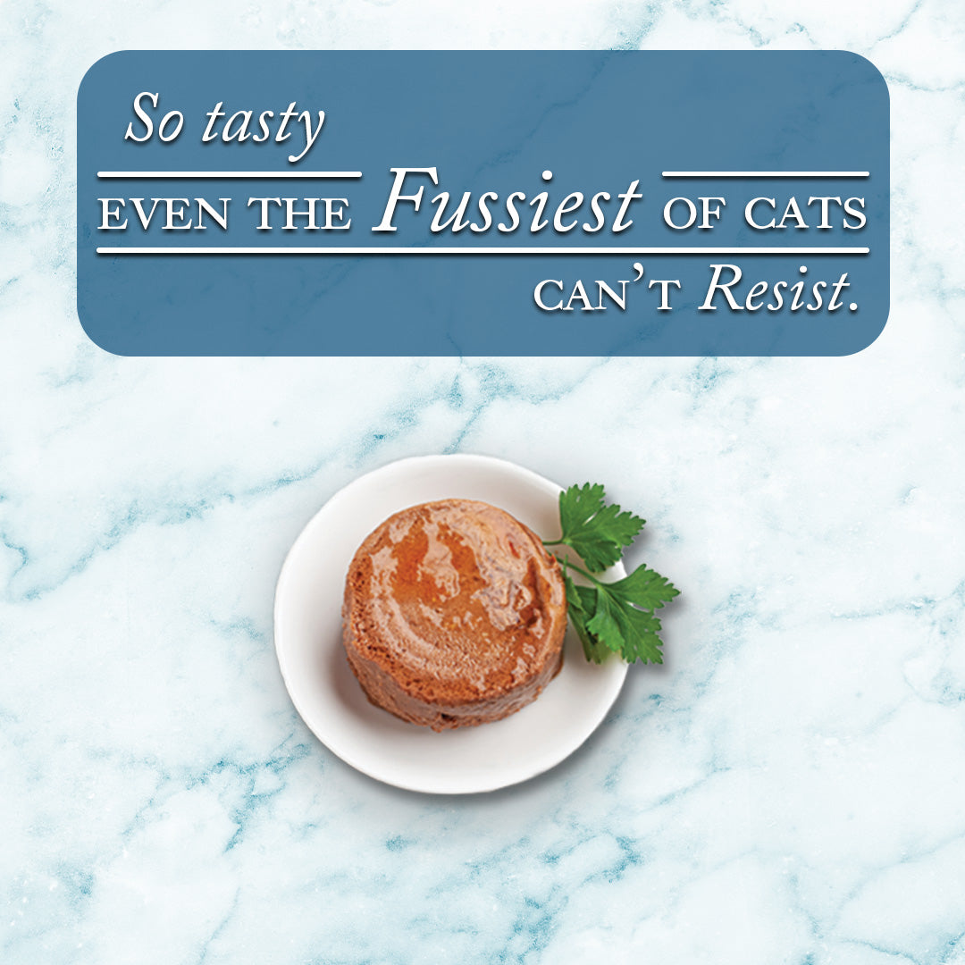 Fussie Cat Fine Dining Paté Tuna with Shrimp Entrée in Gravy Wet Cat Food — additional product view 1