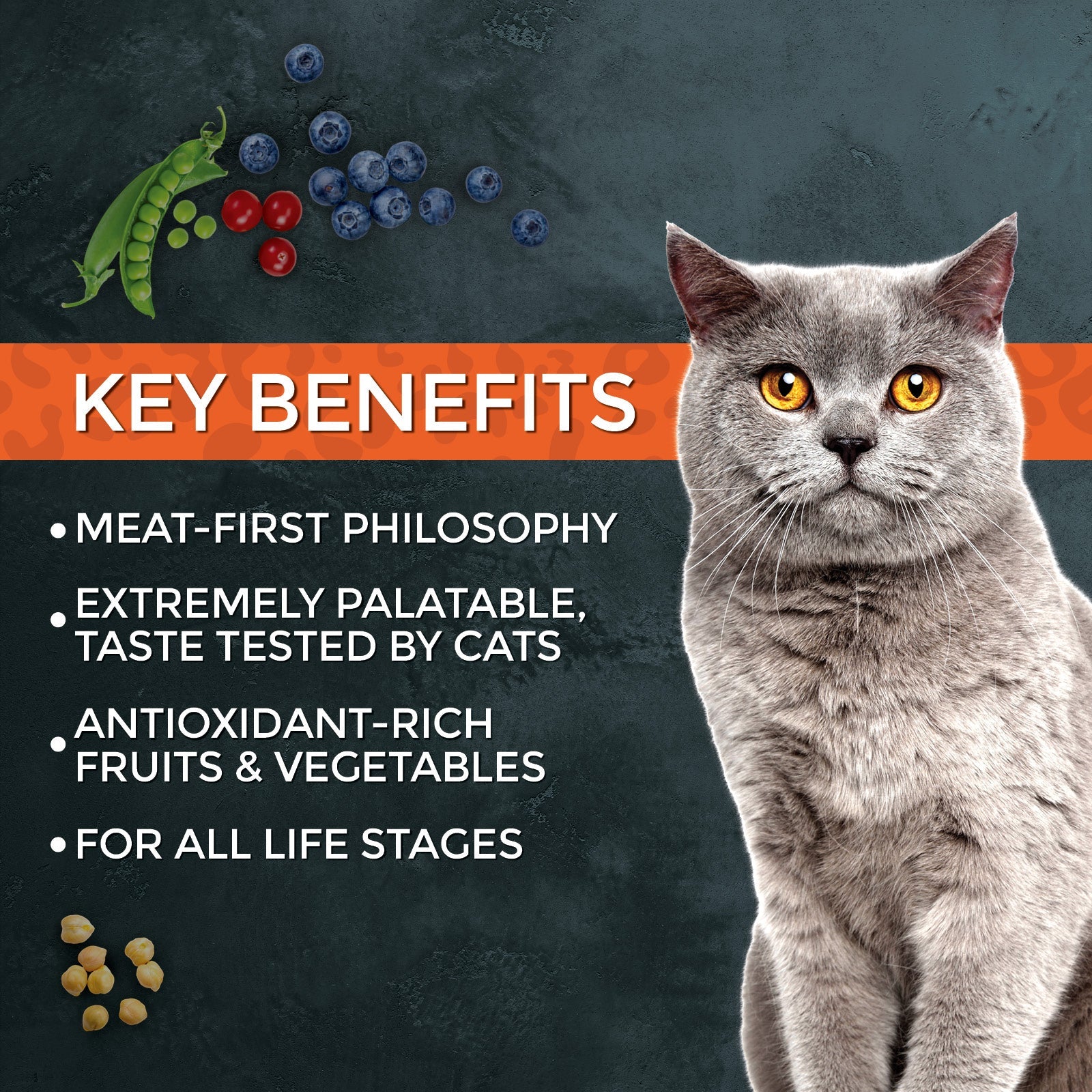Fussie Cat Market Fresh Turkey Recipe Dry Cat Food — additional product view 3