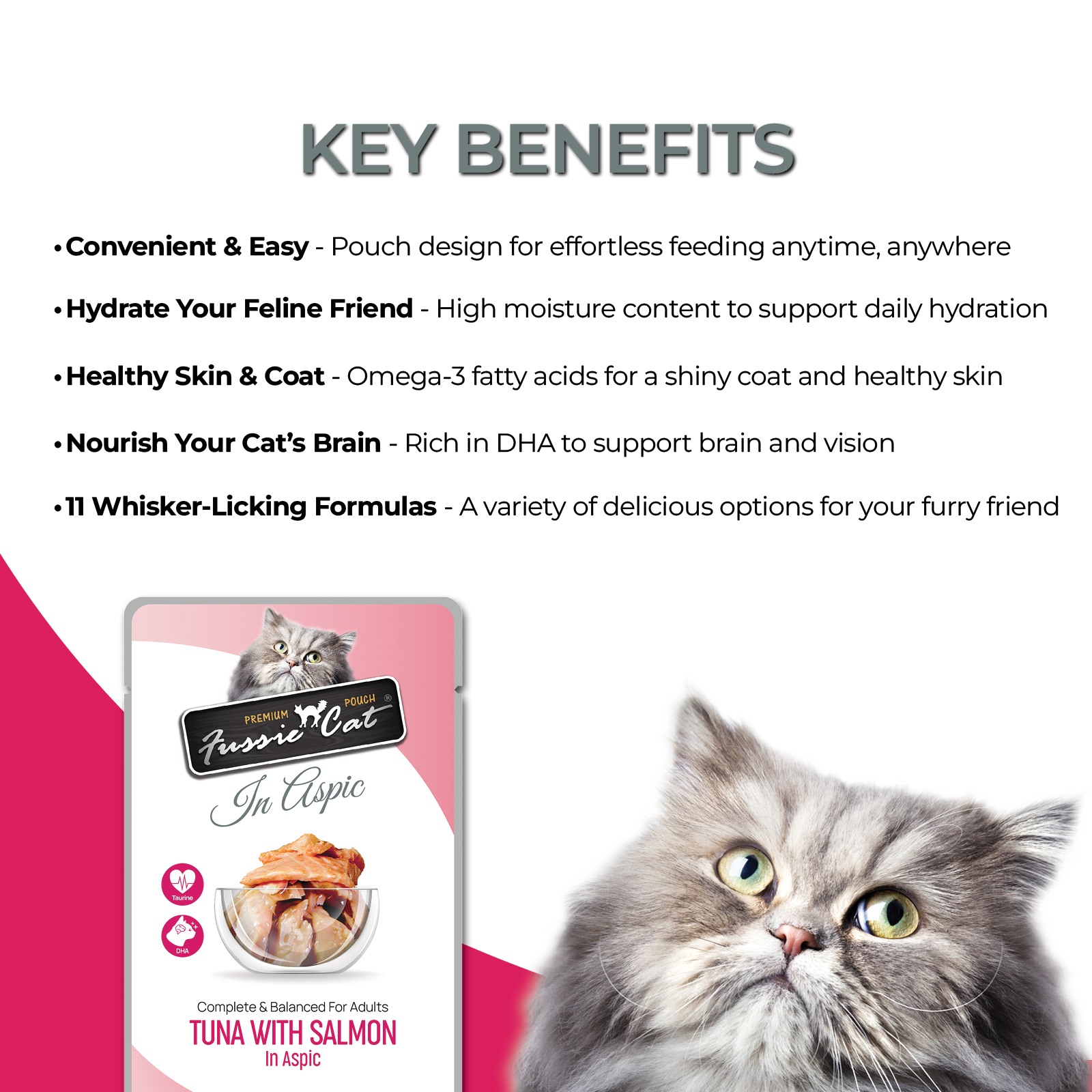 Fussie Cat Tuna with Salmon in Aspic Wet Cat Food Pouch — additional product view 2