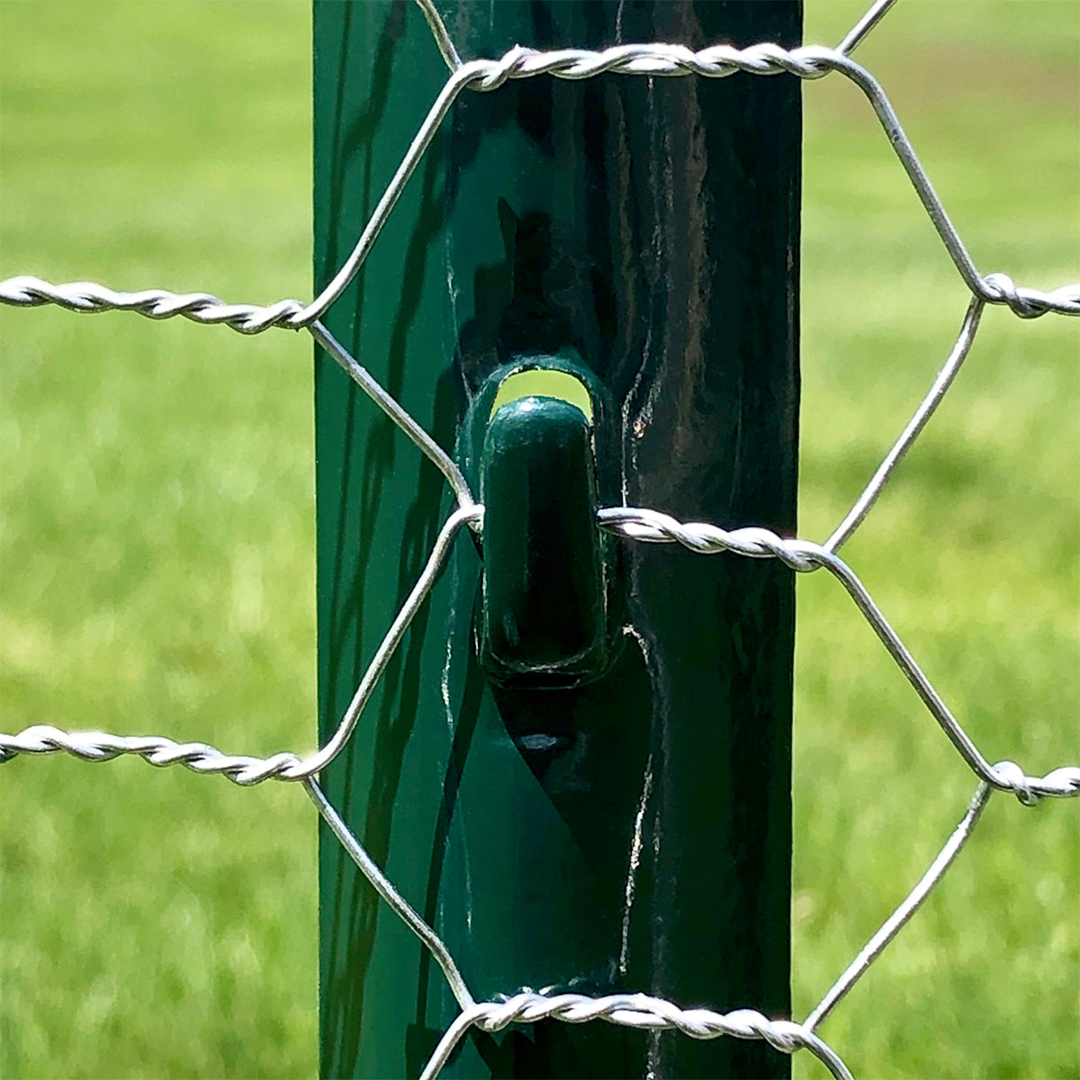 Close-up of Garden Craft chicken wire fastened to a green steel T-post