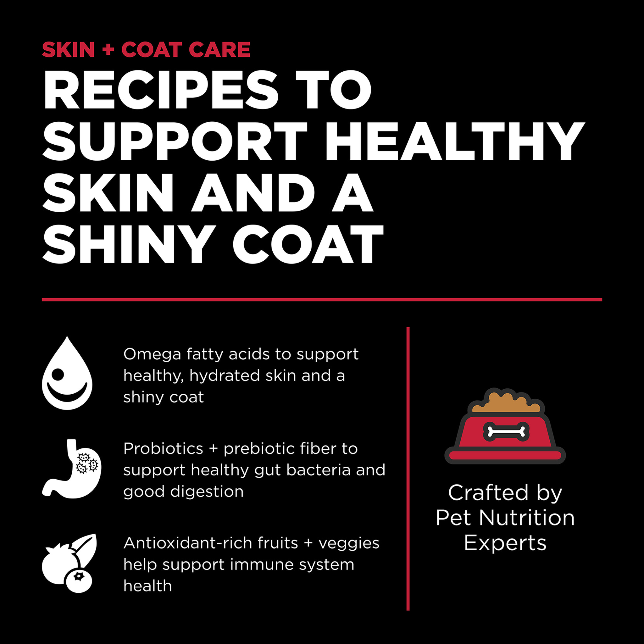Go! Solutions Skin + Coat Care Lamb Recipe with Grains recipe highlights