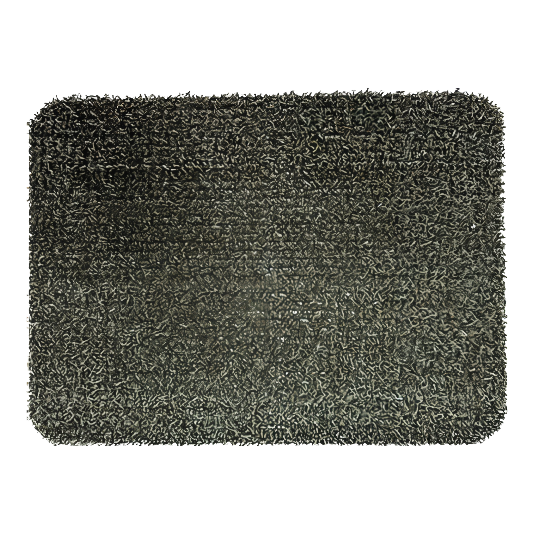 Grassworx Clean Machine Doormat - AstroTurf Waterproof