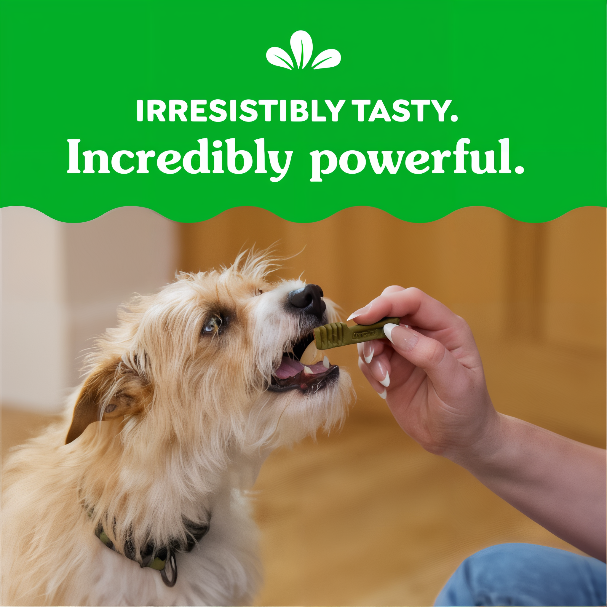 Greenies Teenie Natural Dental Dog Treats Blueberry Flavor how it works