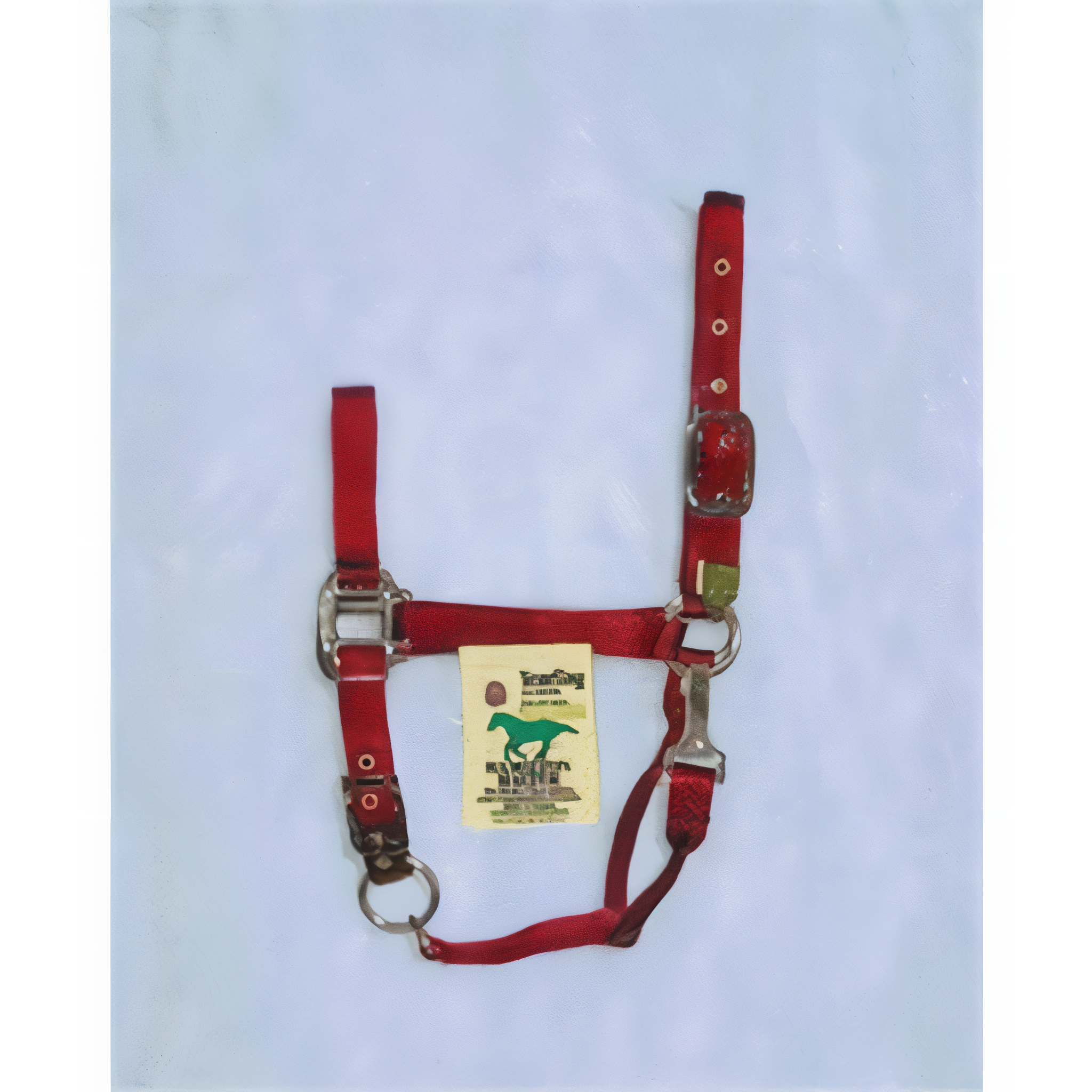 Red Hamilton Halter Company Adjustable Chin Halter With Snap, Yearling size. #Red#Yearling