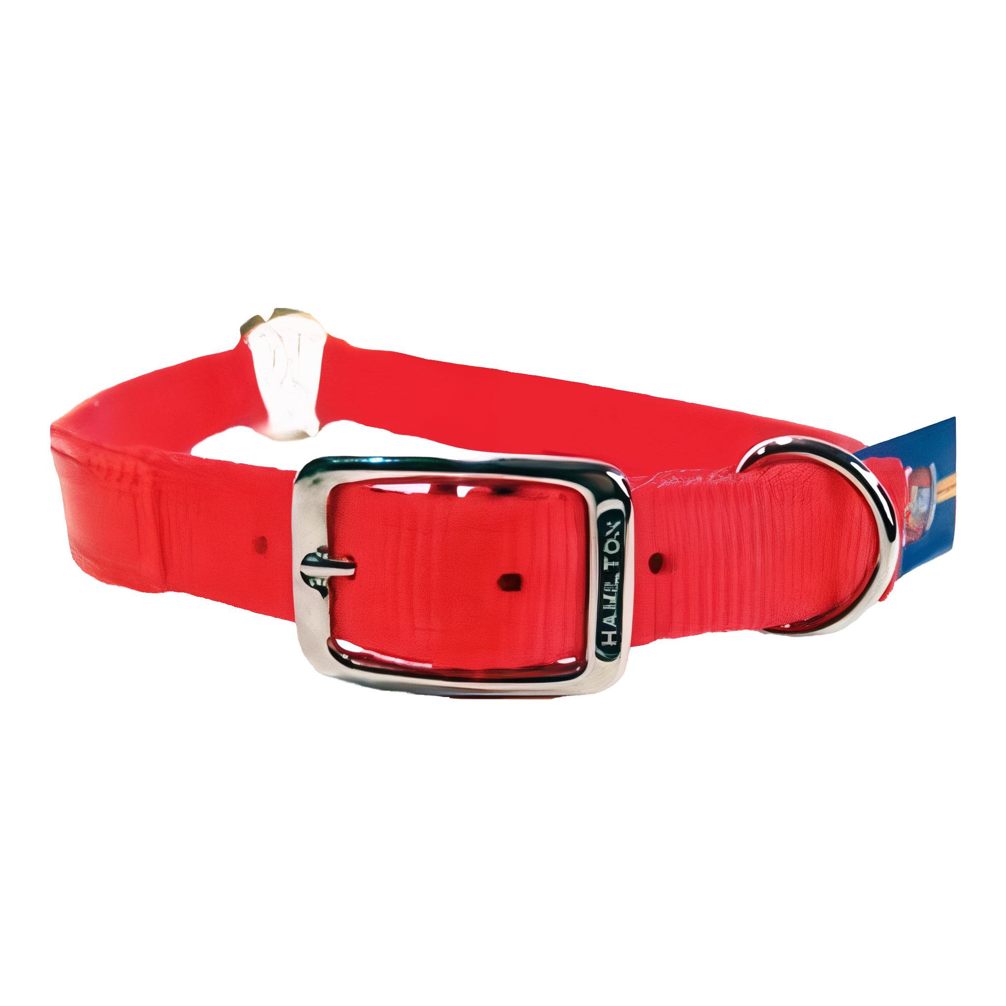Hamilton Safe-Rite dog collar with reflective tape, orange, 28 inch size.