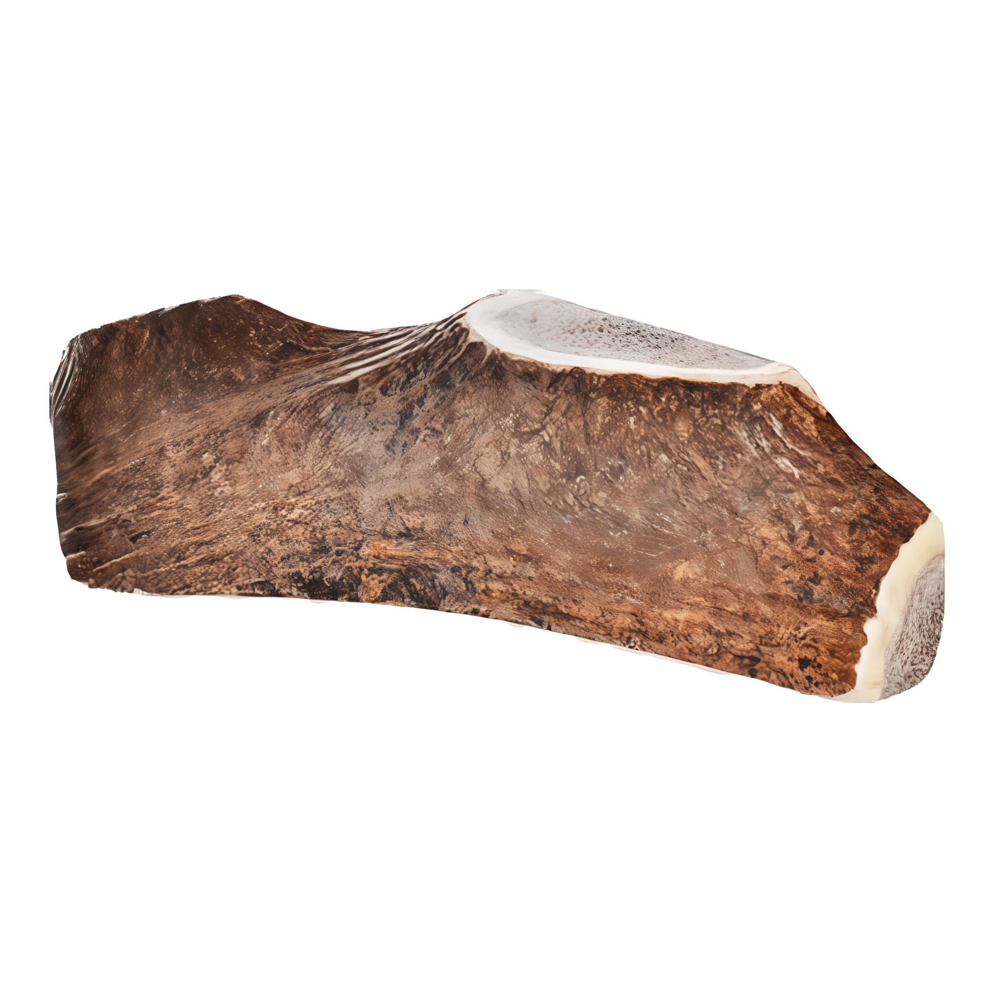 Happy Dog Sliced Elk Antler Dog Chew, small size
