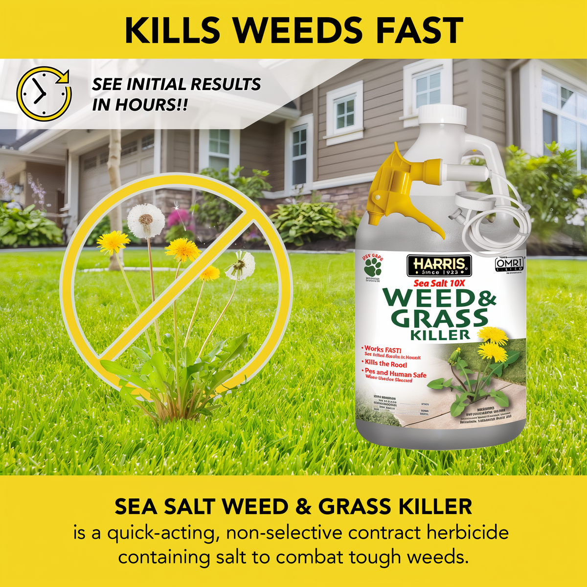 Harris Sea Salt 10X Weed & Grass Killer 1 Gallon -- diagram