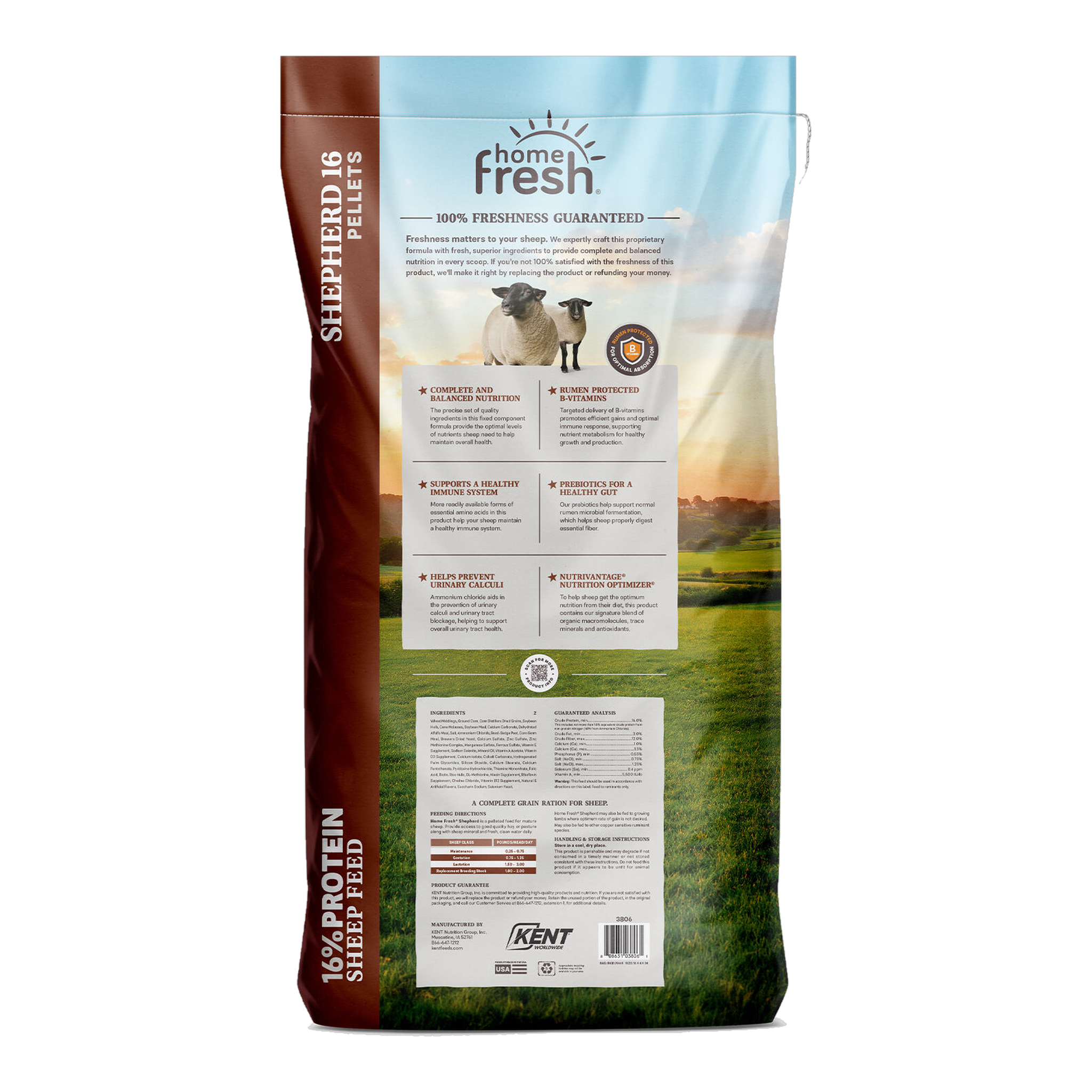 Home Fresh Shepherd 16 Sheep Feed shepherd16 pellets 50lb back nousa