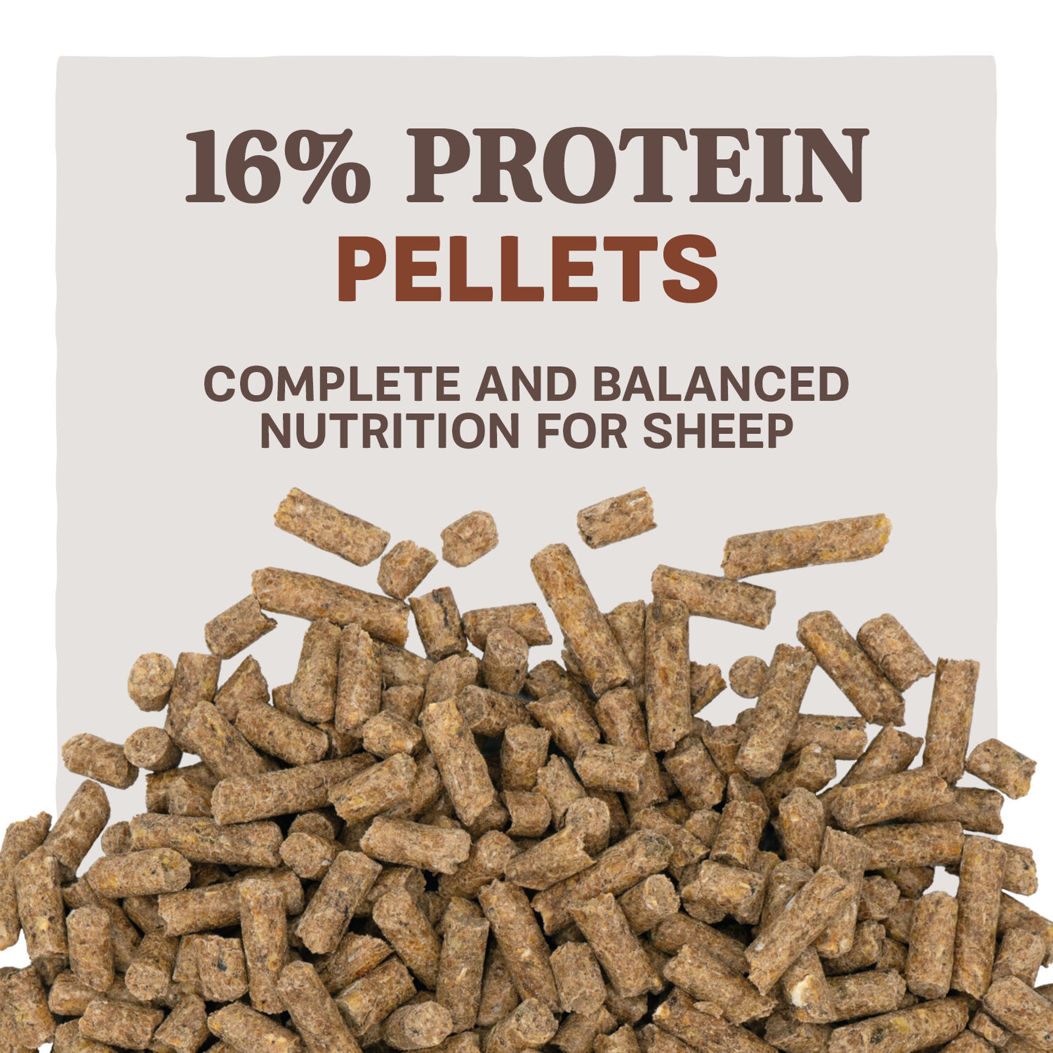 Home Fresh Shepherd 16 Sheep Feed shepherd16 pellets 50lb feed