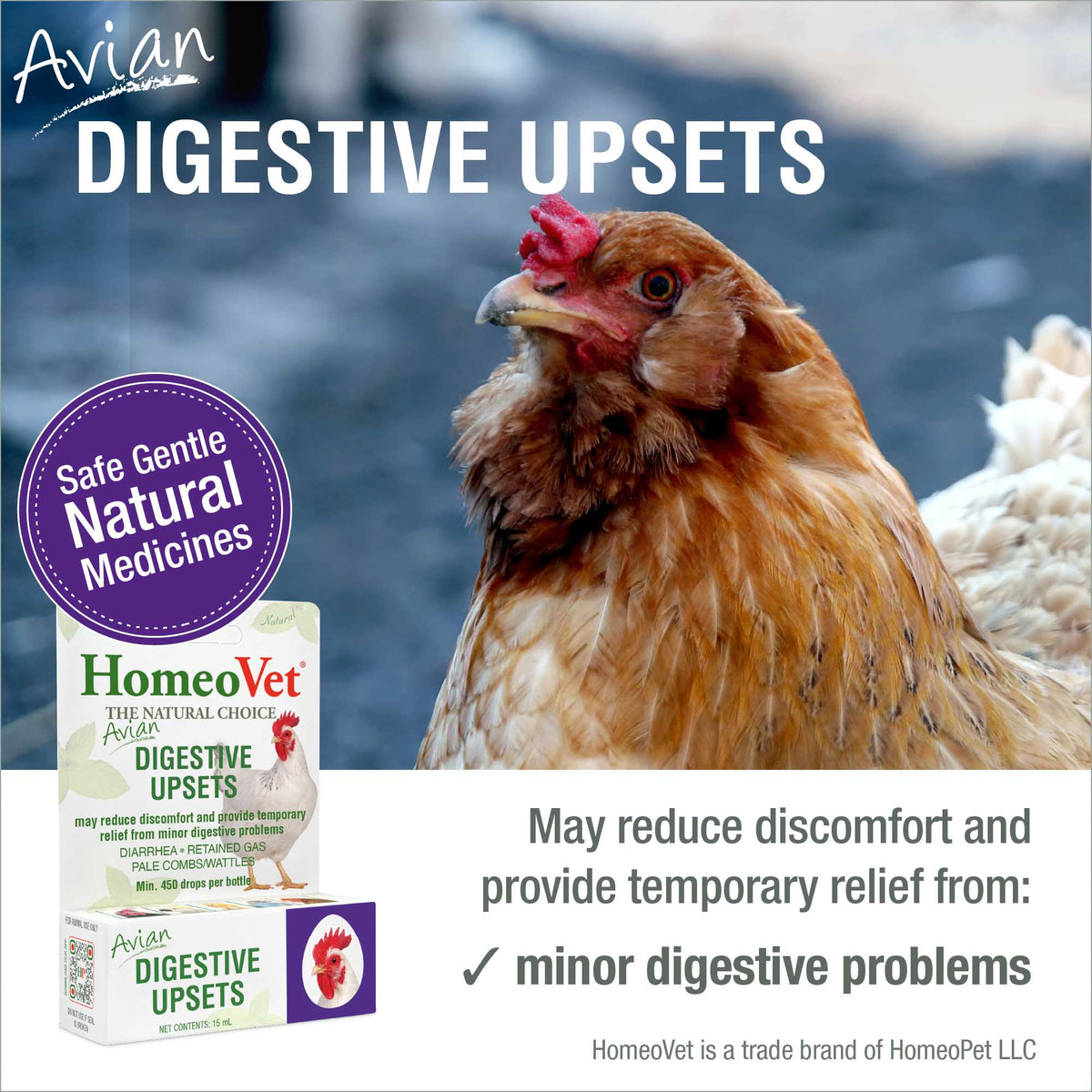 HomeoPet Avian Digestive Upsets safe gentle natural medicine benefits