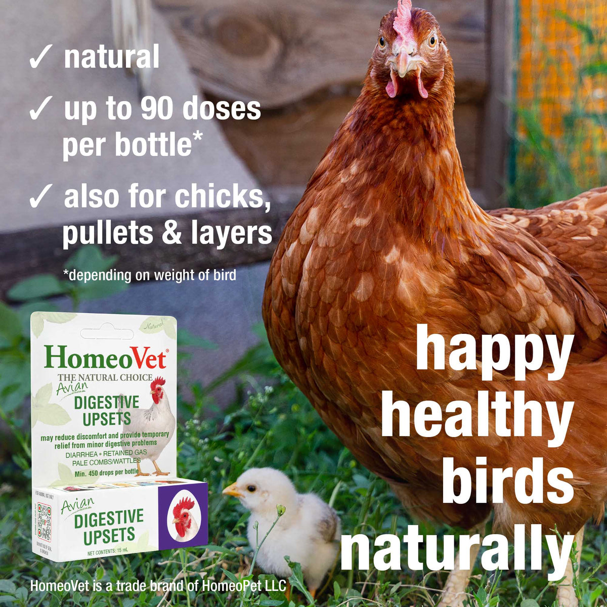 HomeoPet Avian Digestive Upsets natural, up to 90 doses per bottle