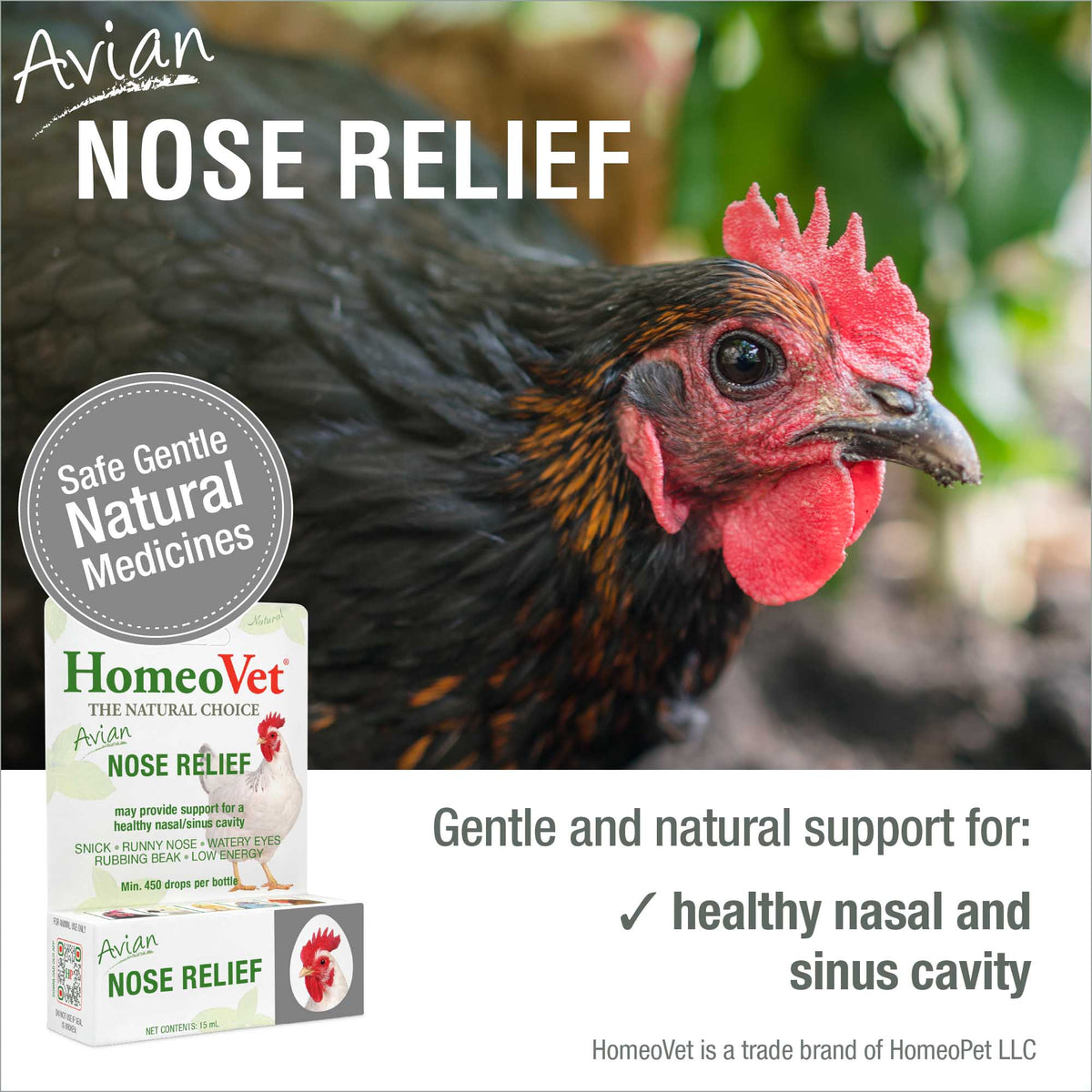 HomeoPet Avian Nose Relief safe gentle natural medicine benefits
