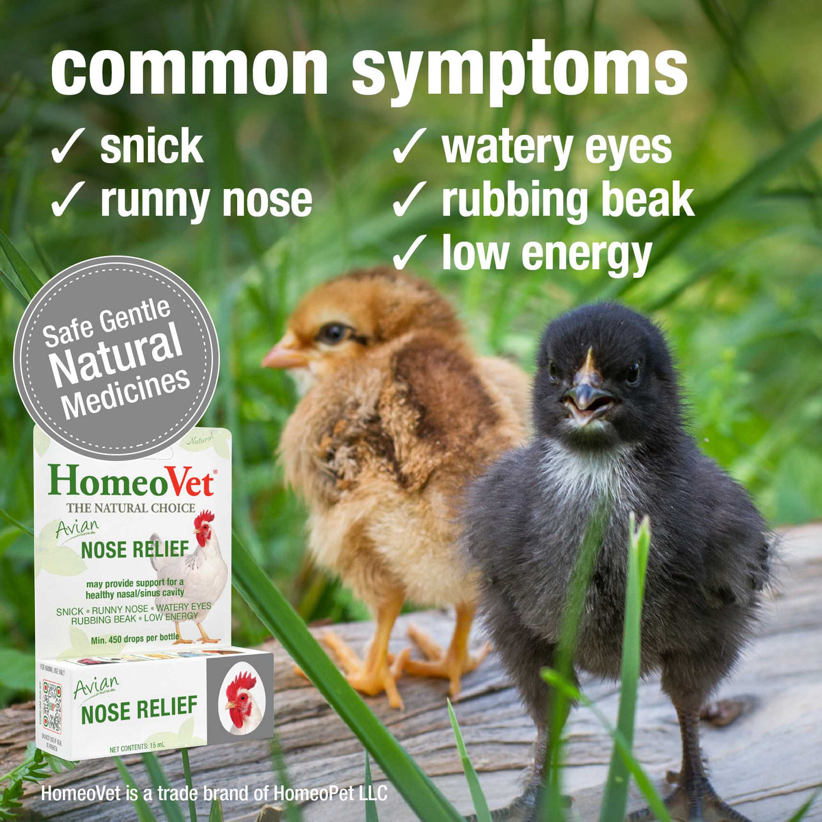 Common symptoms HomeoPet Avian Nose Relief may help relieve