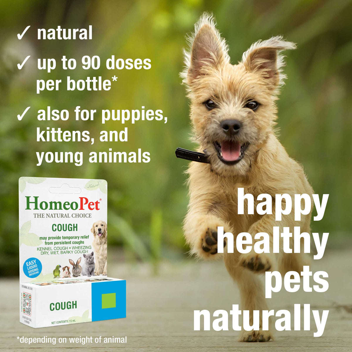 HomeoPet Cough natural, up to 90 doses per bottle, for puppies, kittens and young animals