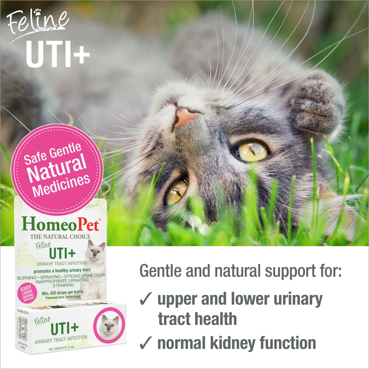 HomeoPet Feline UTI+ safe gentle natural medicine benefits