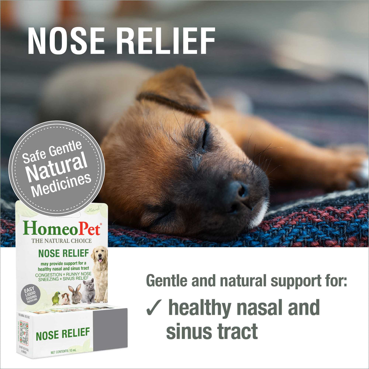 HomeoPet Nose Relief safe gentle natural medicine benefits
