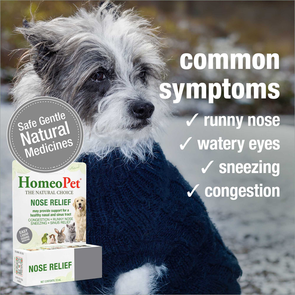 Common symptoms HomeoPet Nose Relief may help relieve