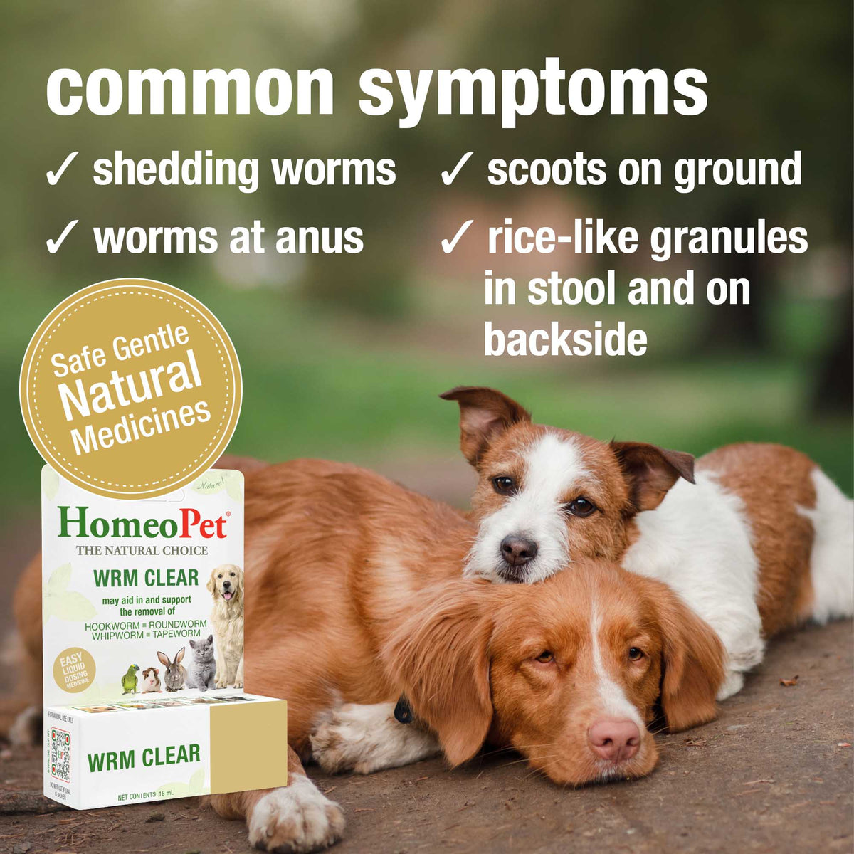 Common symptoms HomeoPet WRM Clear may help relieve