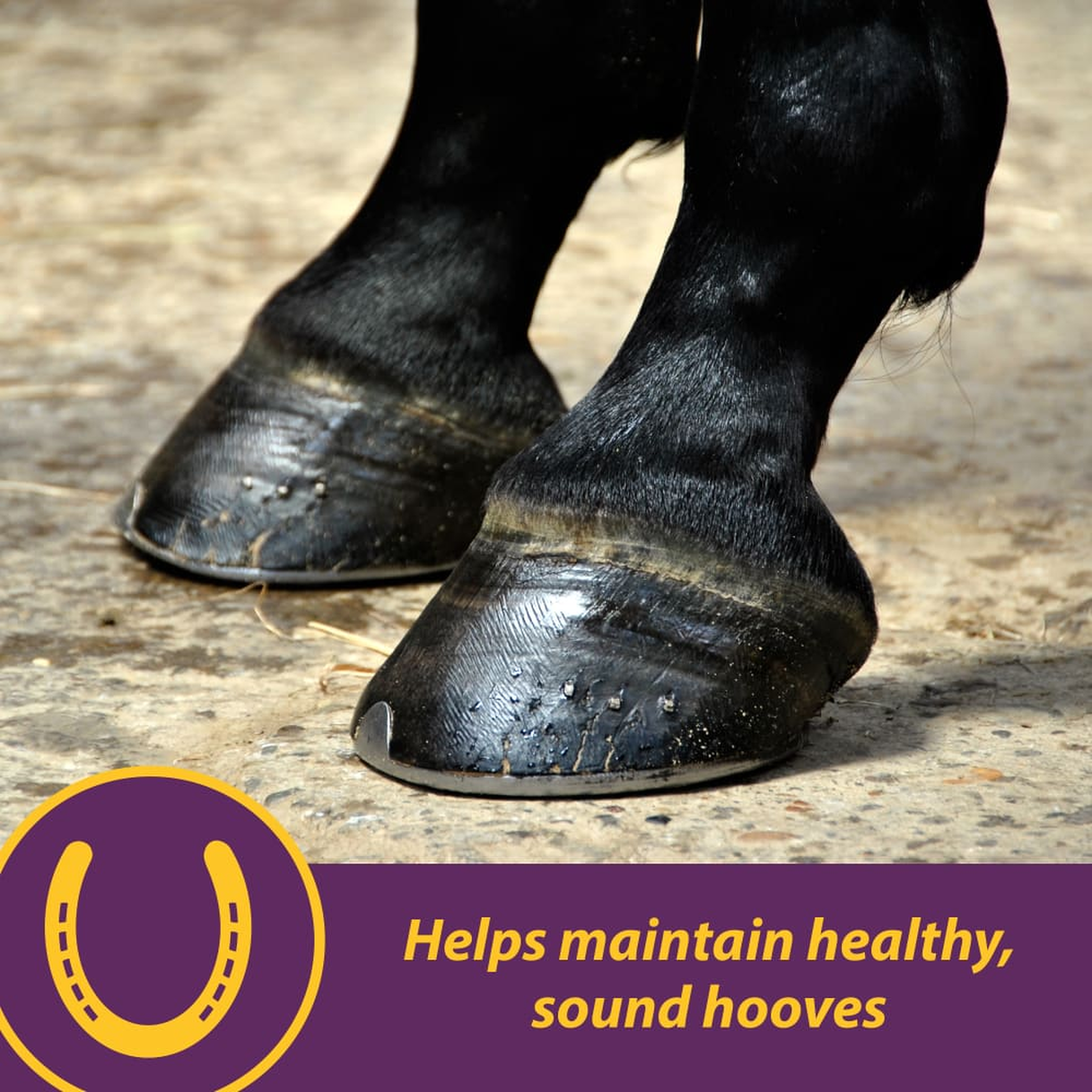 Horse Health Vita Biotin Crumbles 20 lb