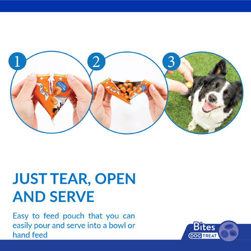 Inaba Churu Fun Bites Chicken with Pumpkin Recipe Dog Treats brand information tile
