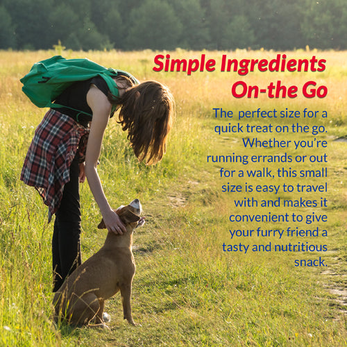 Inaba Churu Meal Topper Chicken with Beef Recipe for Dogs brand information tile