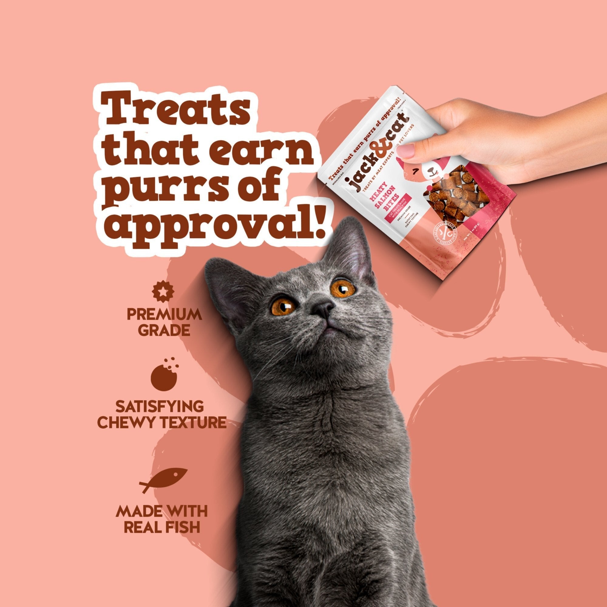 Premium grade soft and chewy salmon treats made with real fish