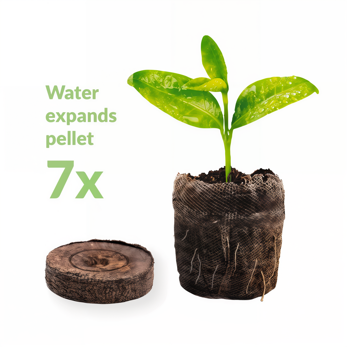 Jiffy Seed Starting 50mm Peat Pellet Refills 16 Pack -- diagram
