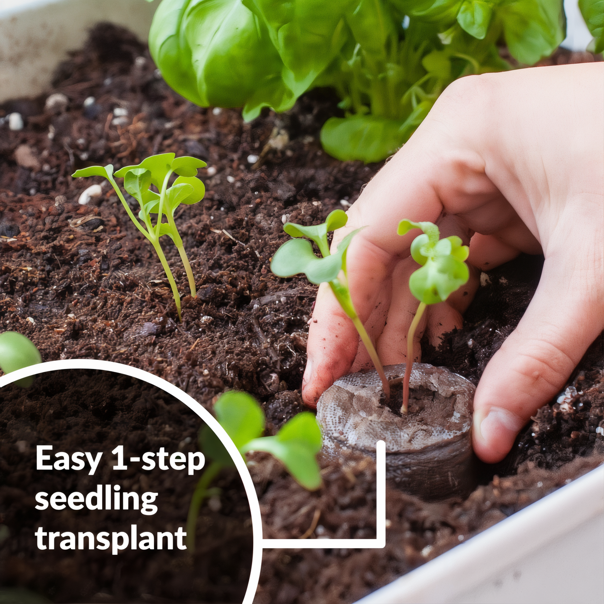 Jiffy Seed Starting 50mm Peat Pellet Refills 16 Pack -- lifestyle