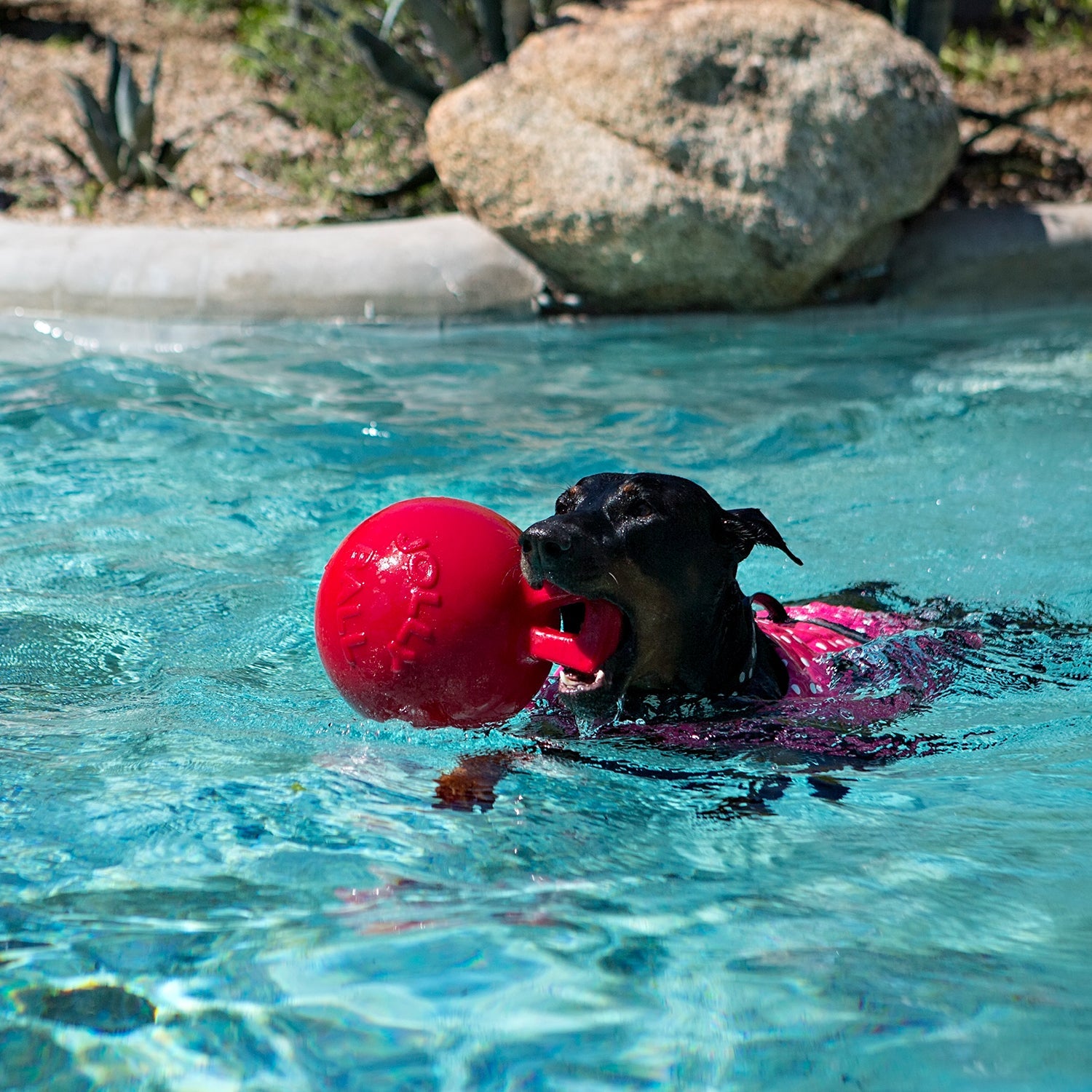 Jolly Pets Tug-n-Toss Dog Toy