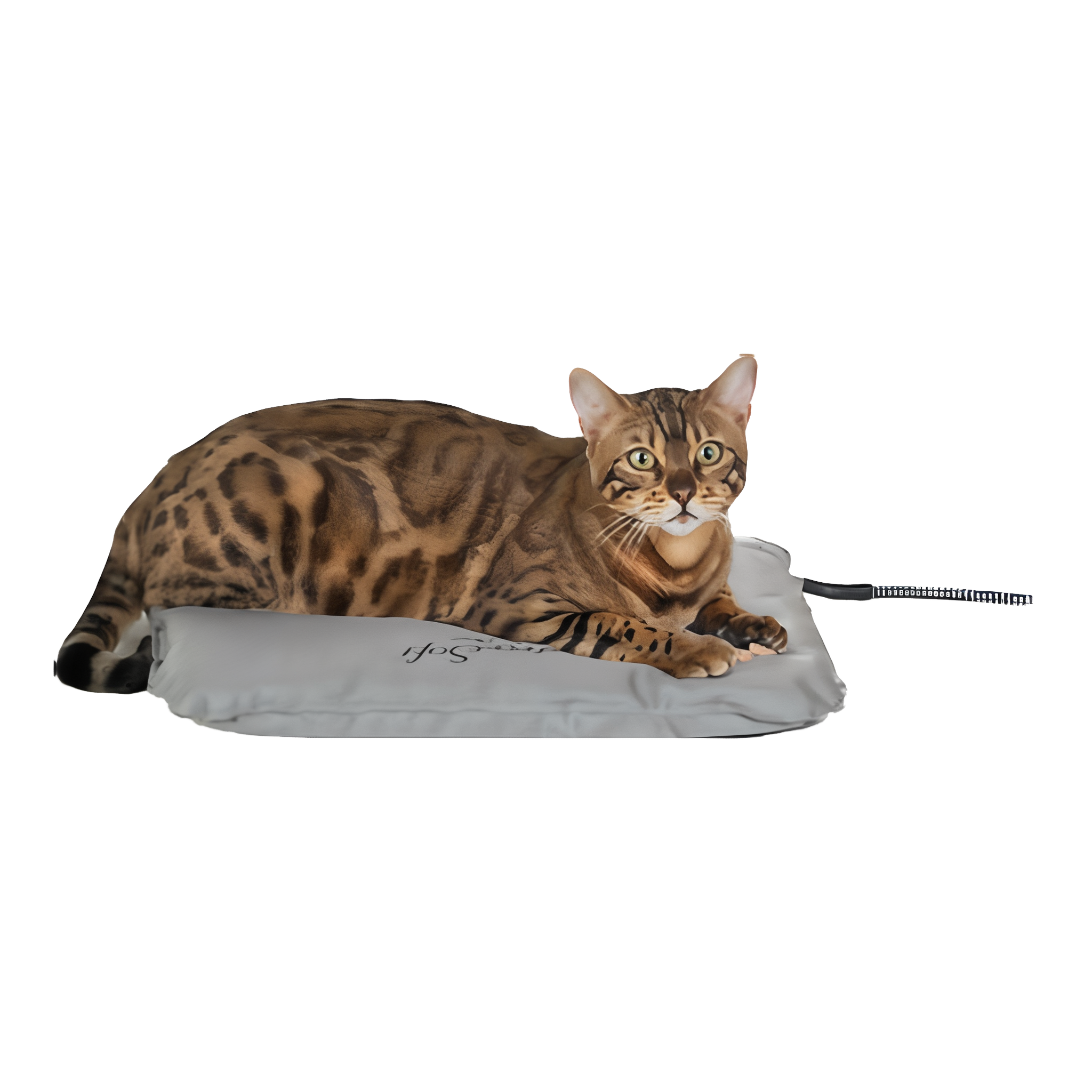 K&H Pet Products Lectro-Soft Outdoor Heated Pet Bed